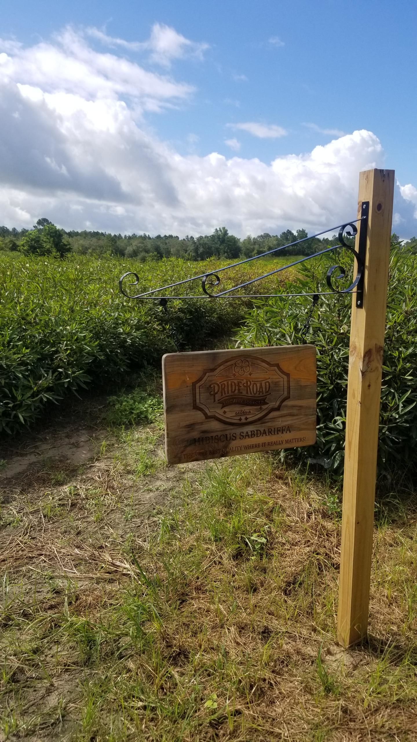 Wooden Pride Road farm sign