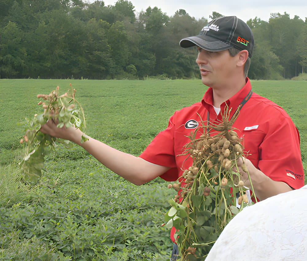 Standing in a field, Tubbs holds peanut plants in each hand