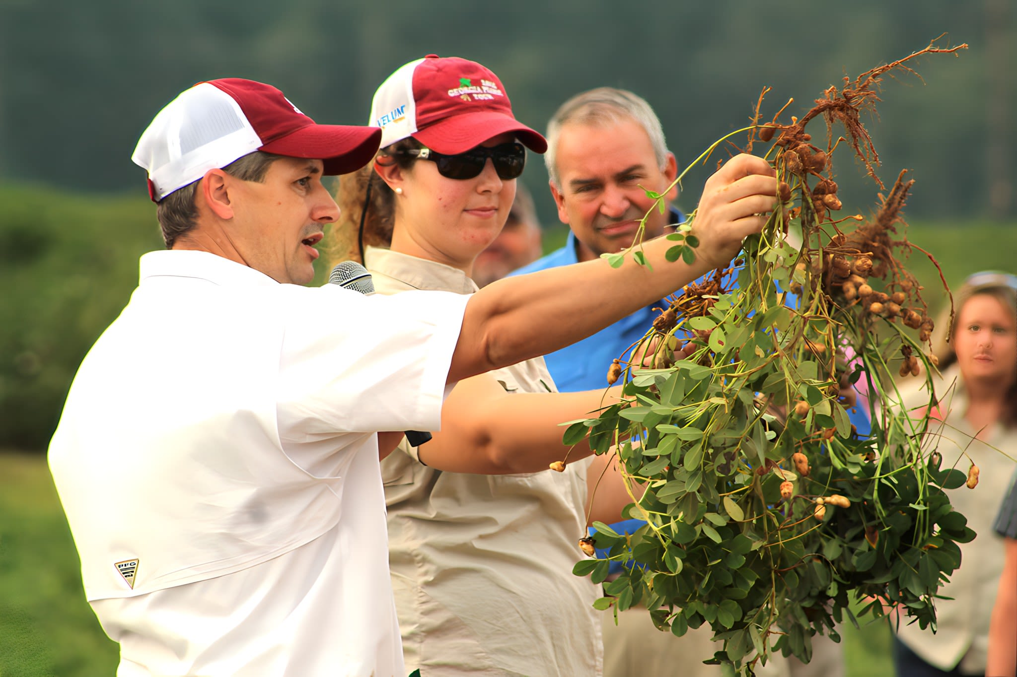 Tubbs displays peanut roots for his colleagues