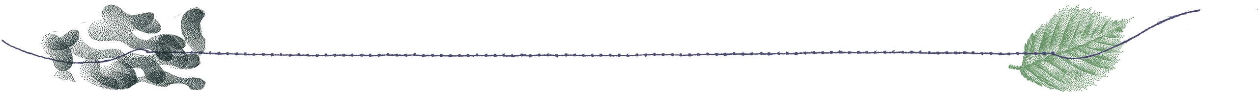 Thread connecting microbes to a leaf