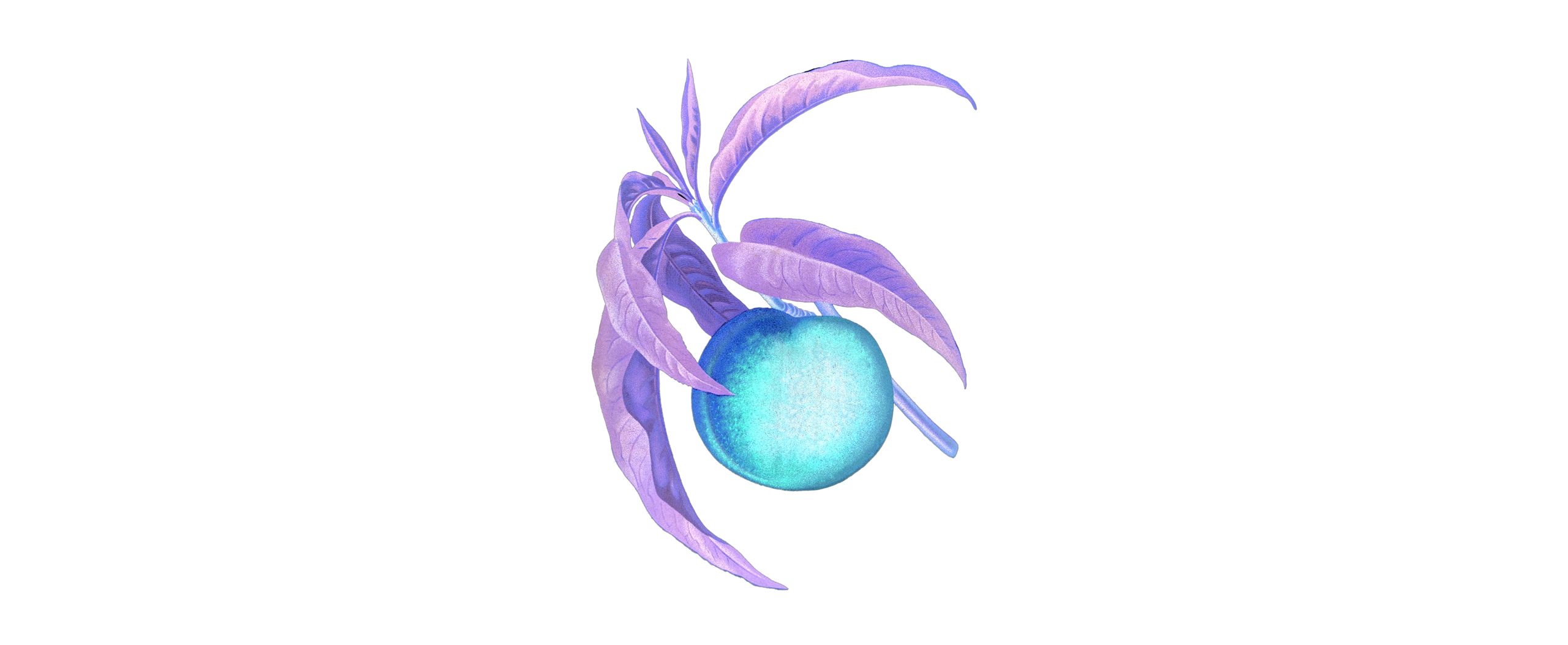 Peach illustration with inverted colors