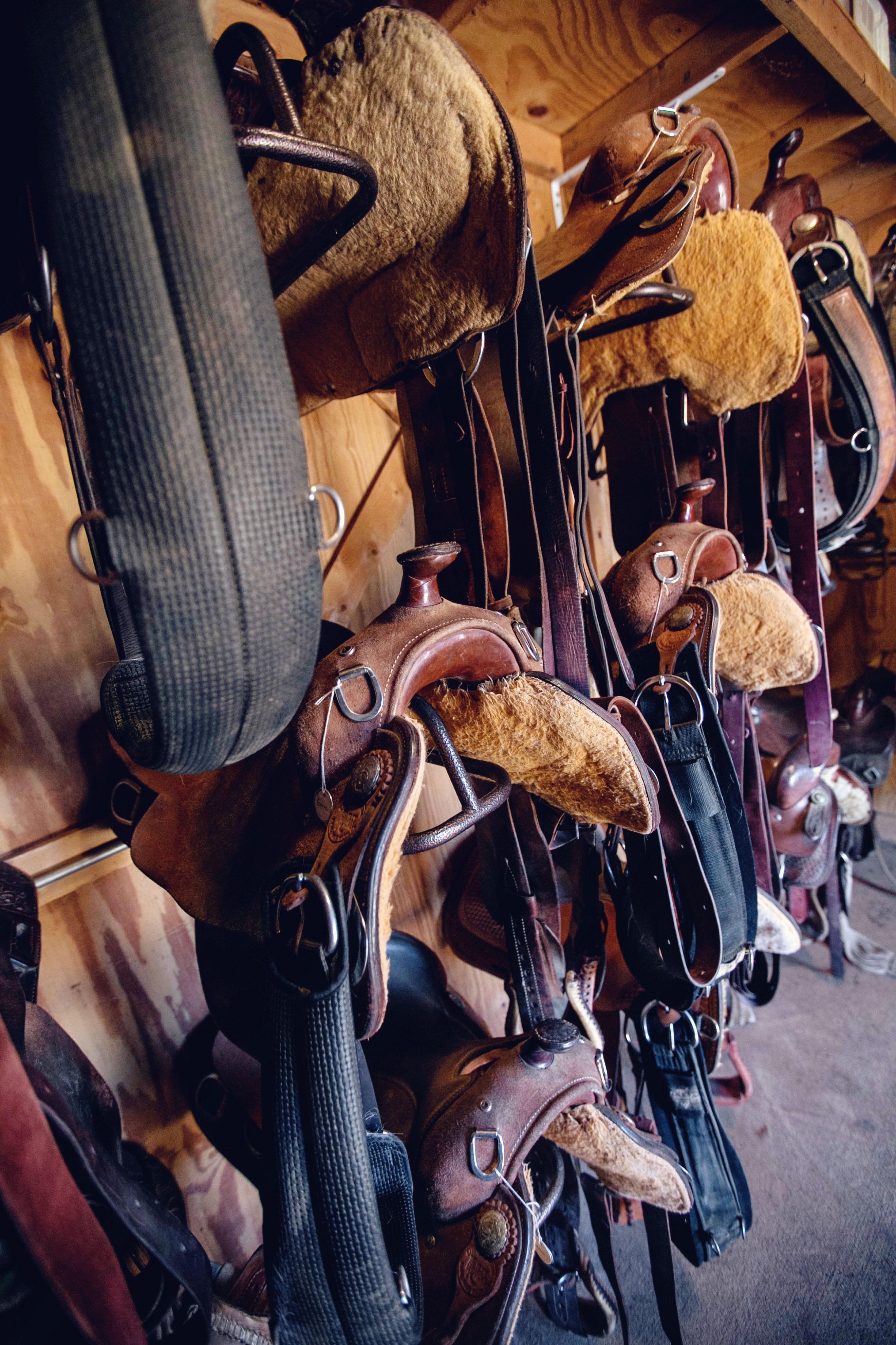 A close-up of saddles and riding gear against a barn wall