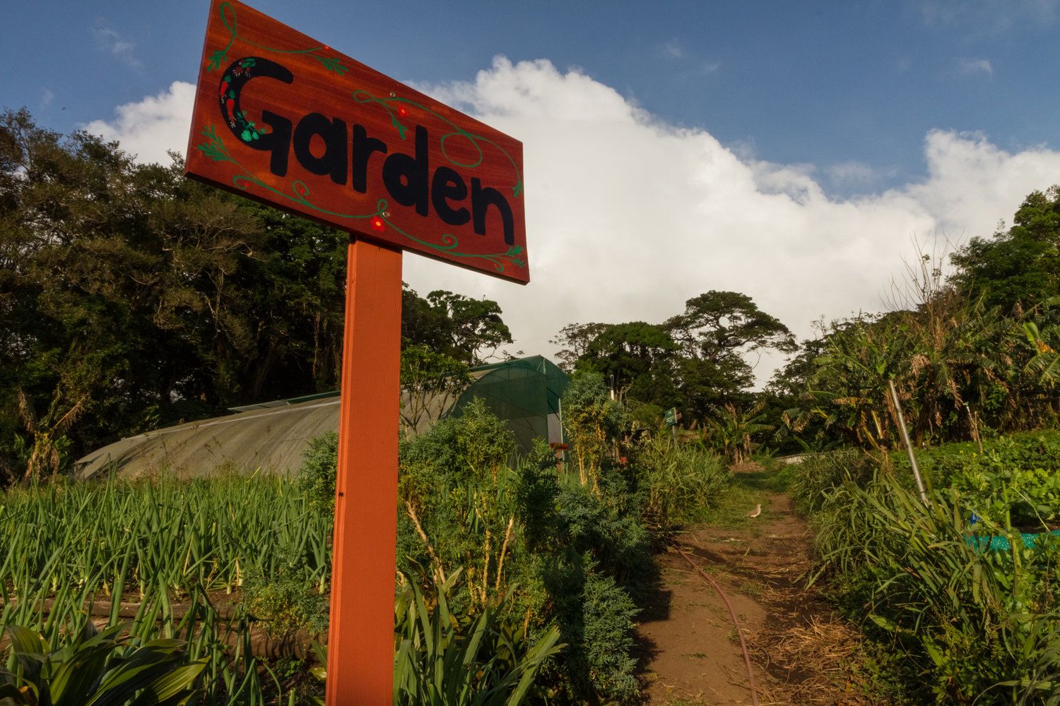 A sign that reads "Garden" with painted flowers and vegetables on the UGA Costa Rica campus