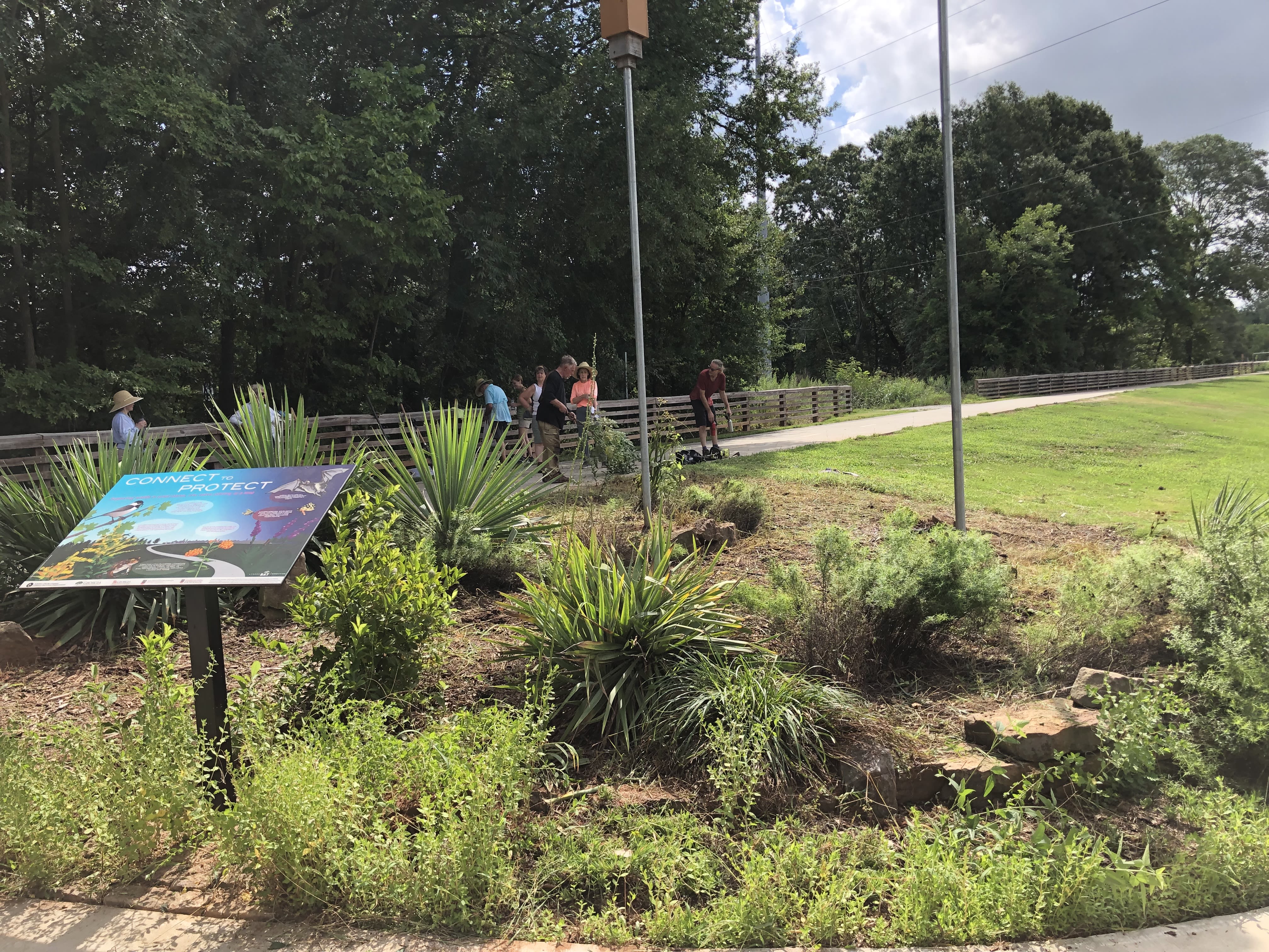 Visitors of Dudley Park gather on a walkway beyond the Connect to Protect sign that marks the pollinator and bat garden