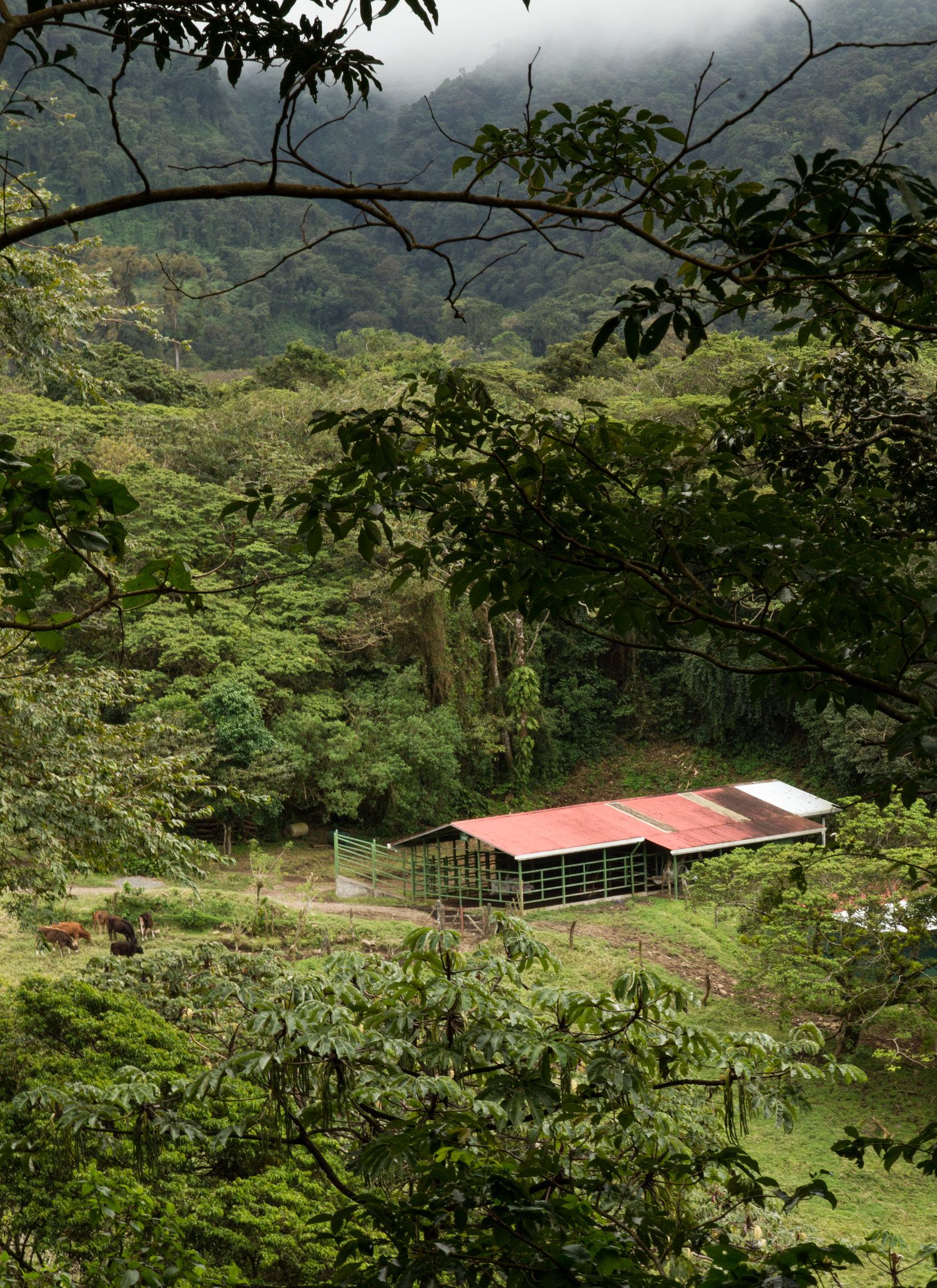 An aerial view of the small teaching farm at UGA's Costa Rica campus, with agricultural buildings in the foreground and mountains in the background