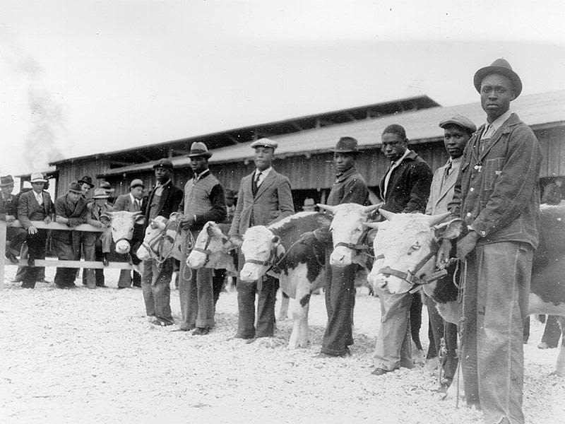 Men in hats and ties show cows in front of a large barn.