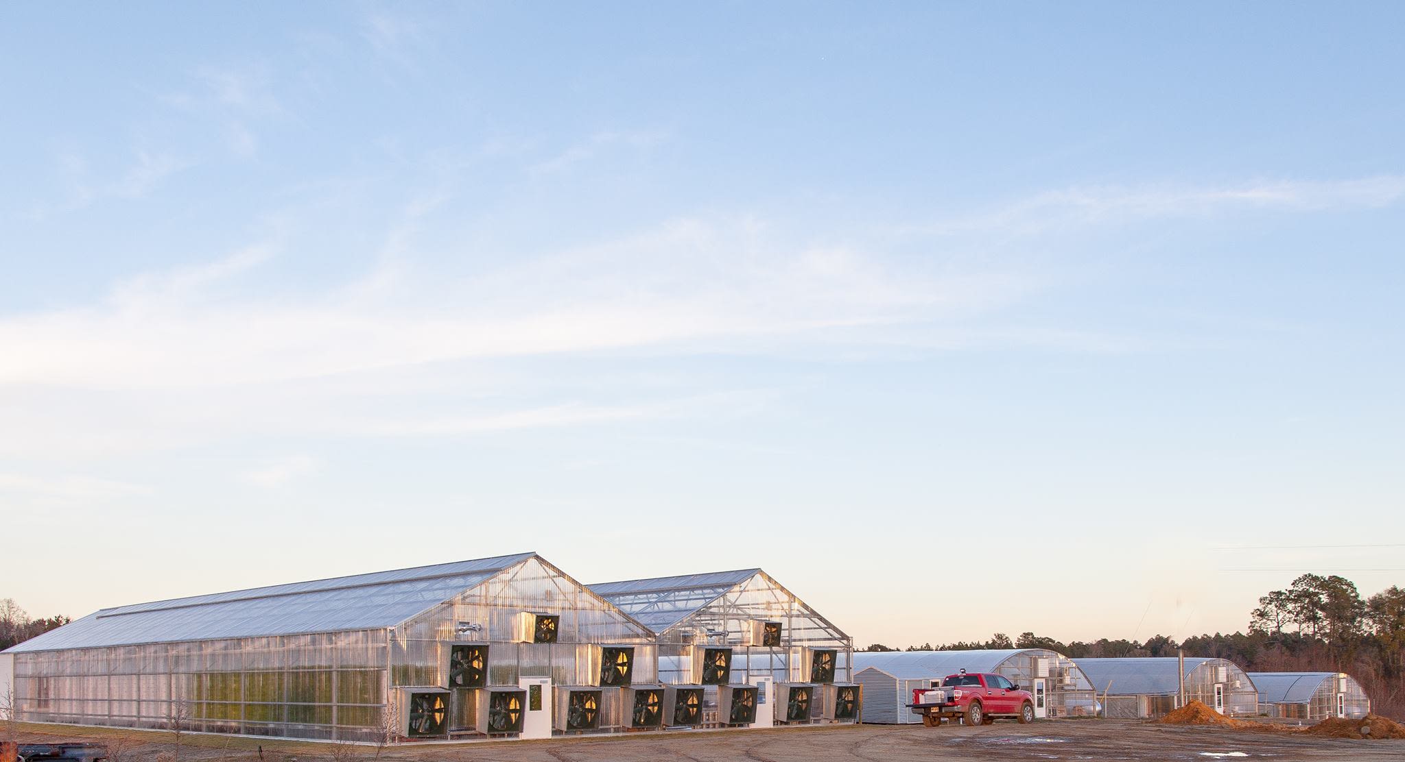 A wide angle photo of several greenhouses under a blue sky.