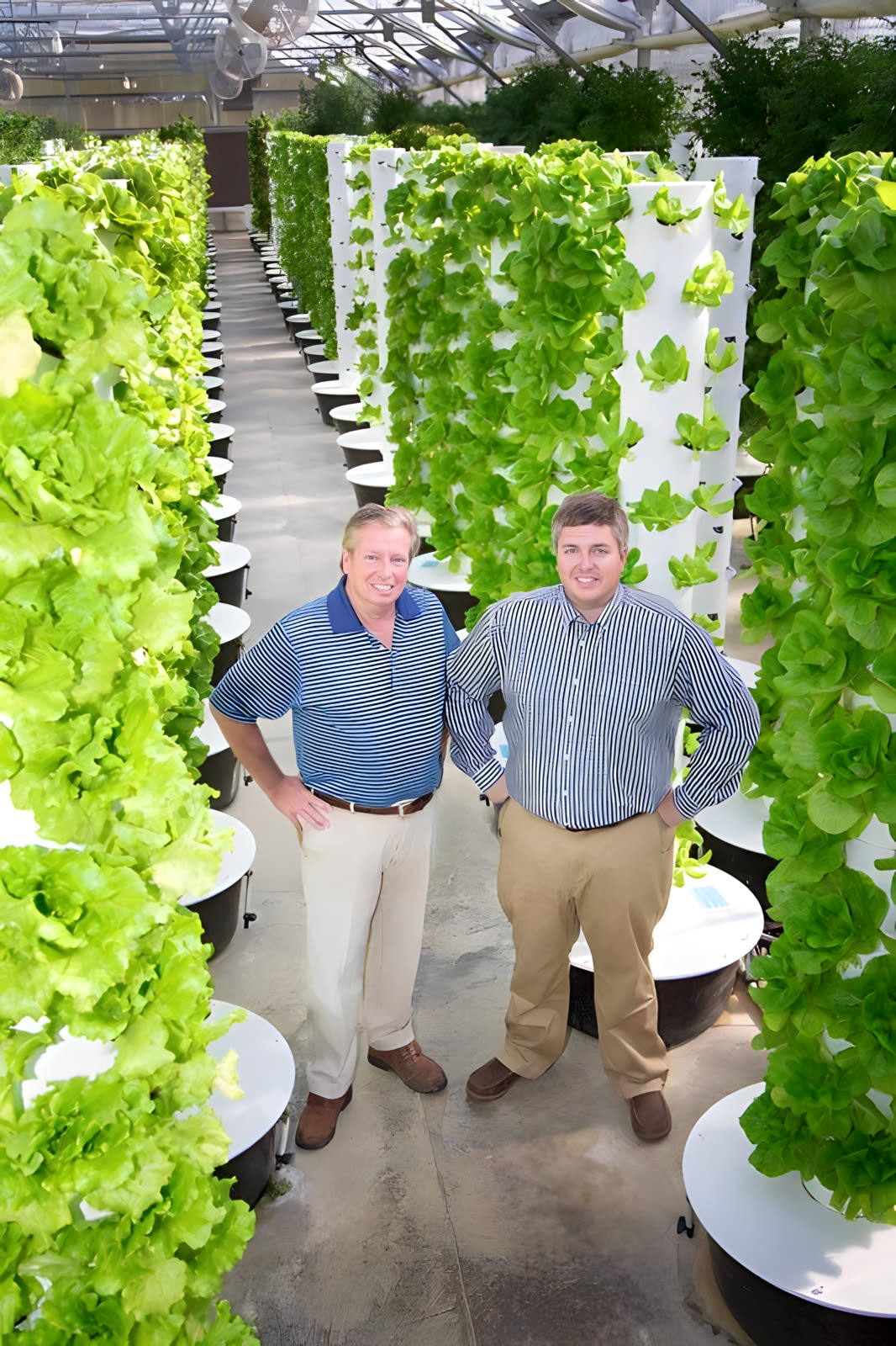 Two men stand in a greenhouse filled with vertical growing towers.