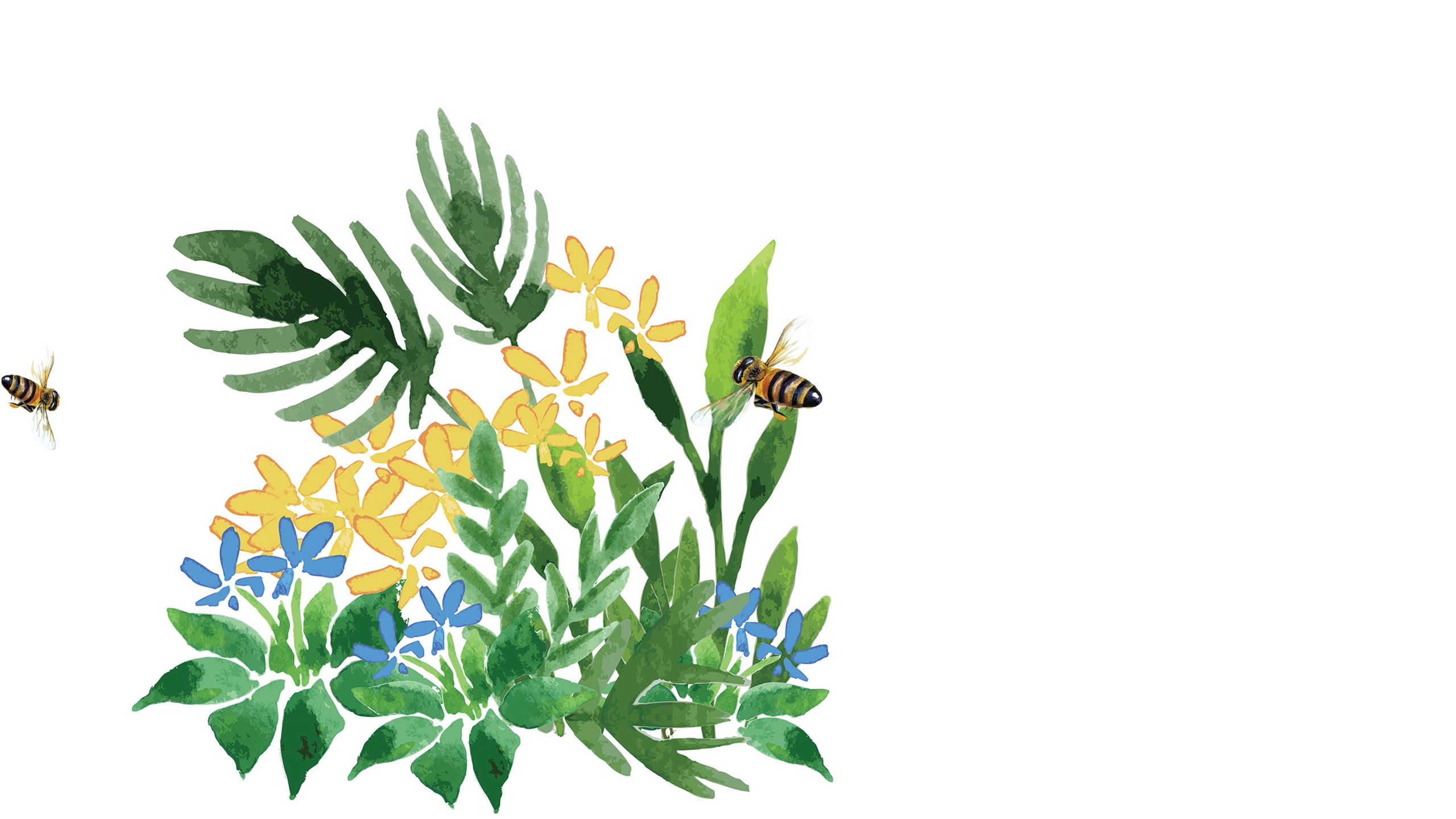 two bees approach flowers