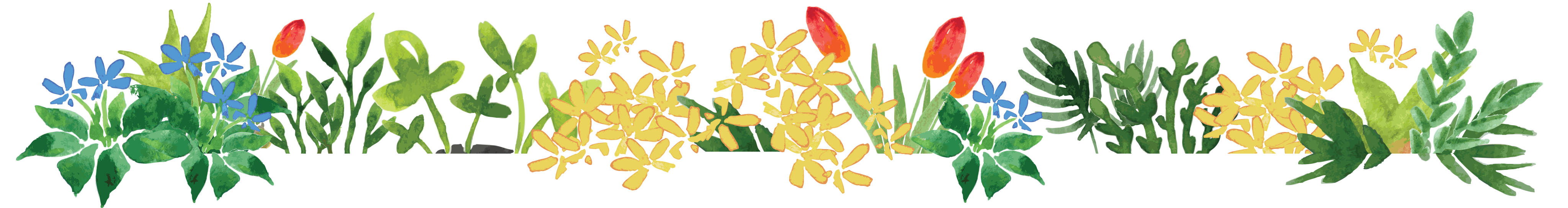 illustrated flower border