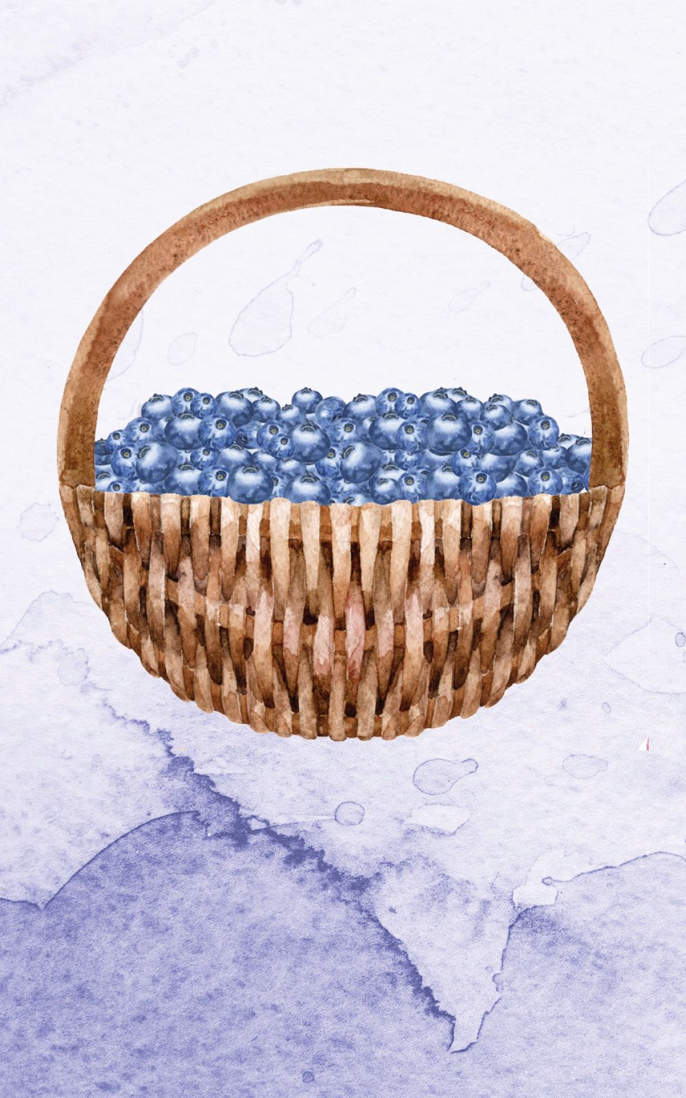 Basket of blueberries