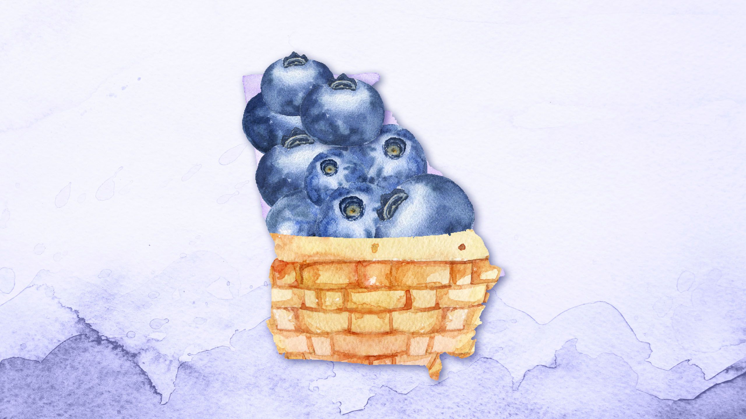 A peach in a basket shaped like the state of Georgia. More blueberries fall into the basket, filling out the outline of the state.