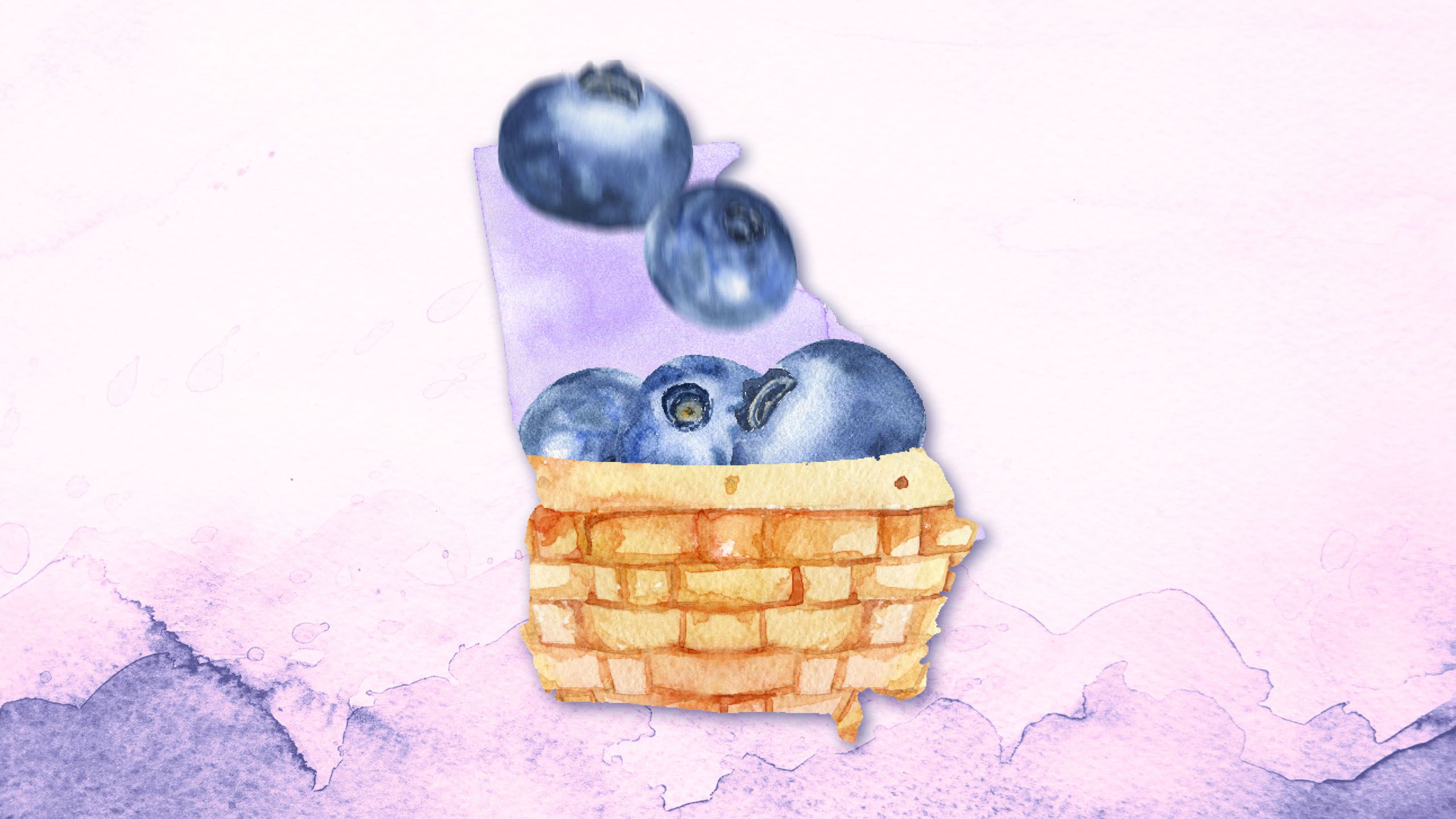 A peach in a basket shaped like the state of Georgia. More blueberries fall into the basket.