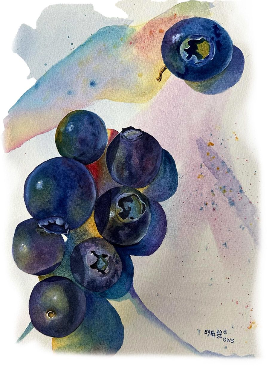 Watercolor painting of 8 blueberries