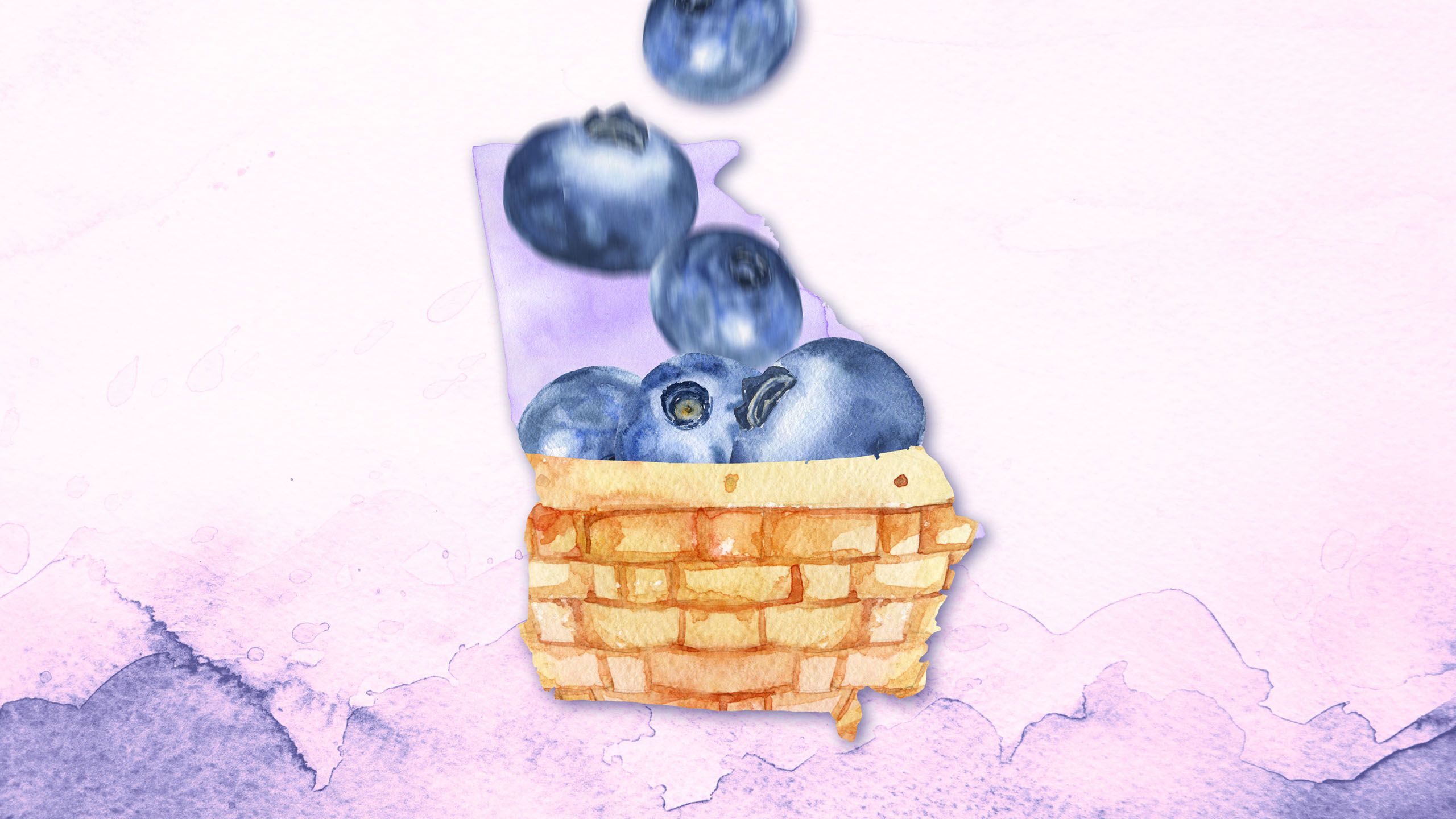 A peach in a basket shaped like the state of Georgia. More blueberries fall into the basket.