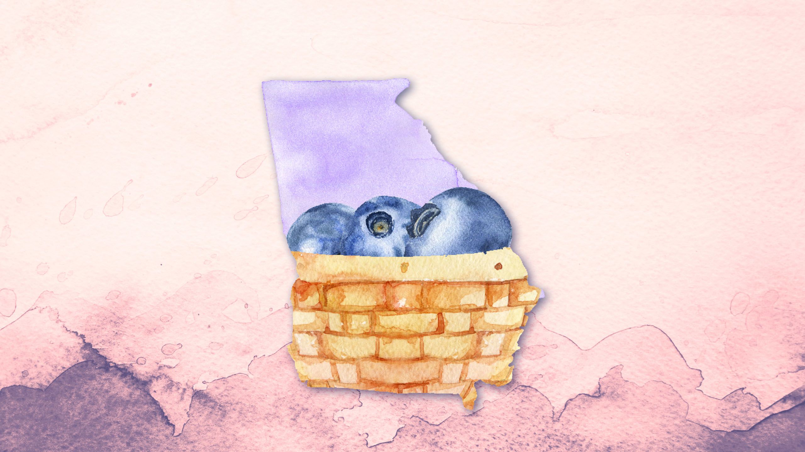 Blueberries in a basket shaped like the state of Georgia