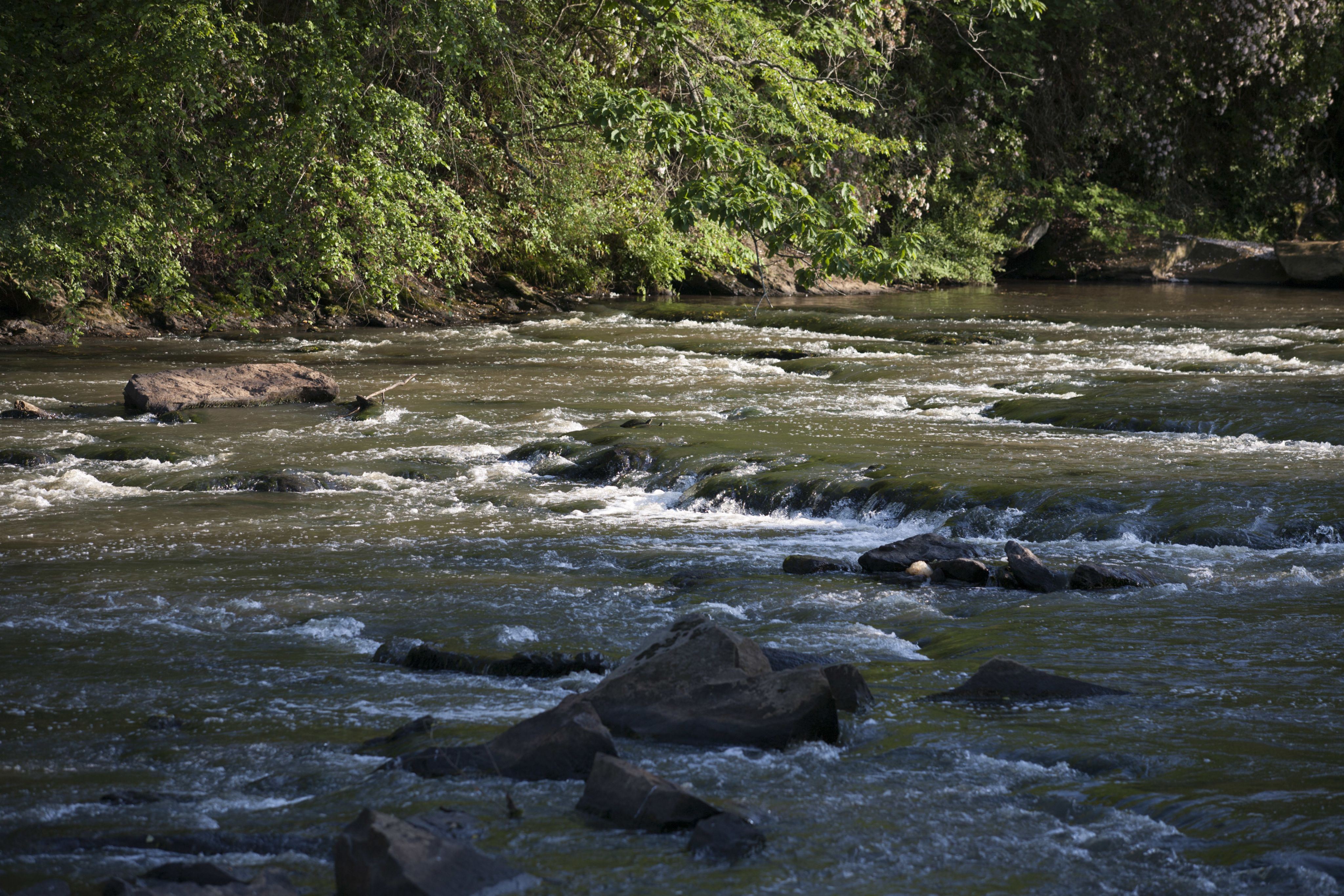 Oconee River at the Whitehall Mill Lofts south of the UGA campus