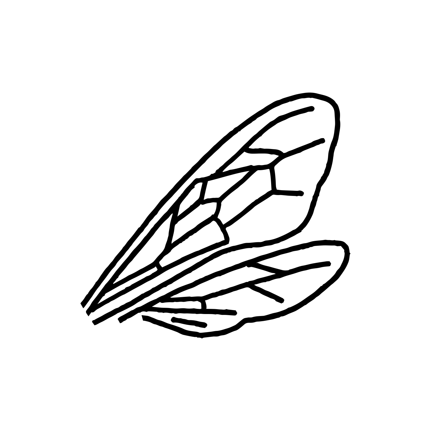 A line drawing of a pair of insect wings representing the UGA Department of Entomology