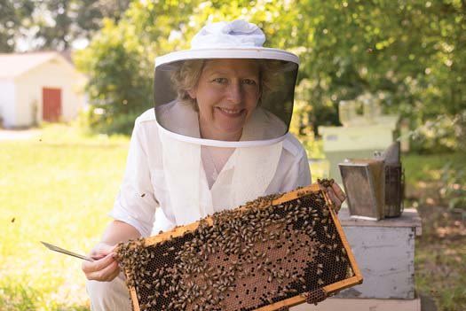 Berry pulls bees from a hive
