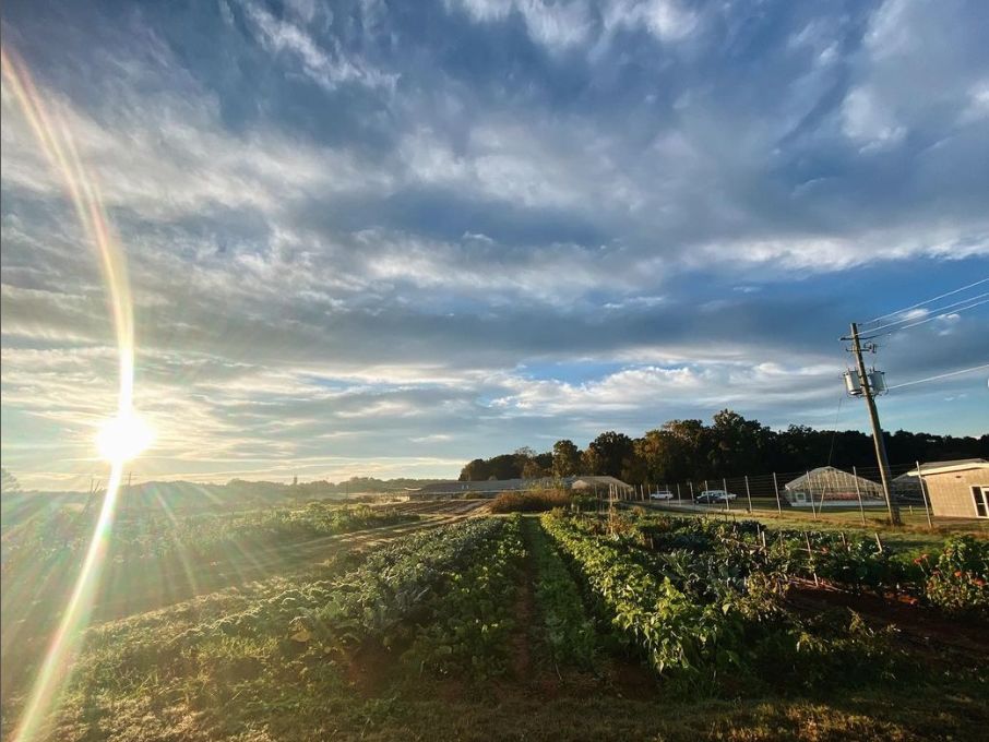 The sun rises over UGArden.