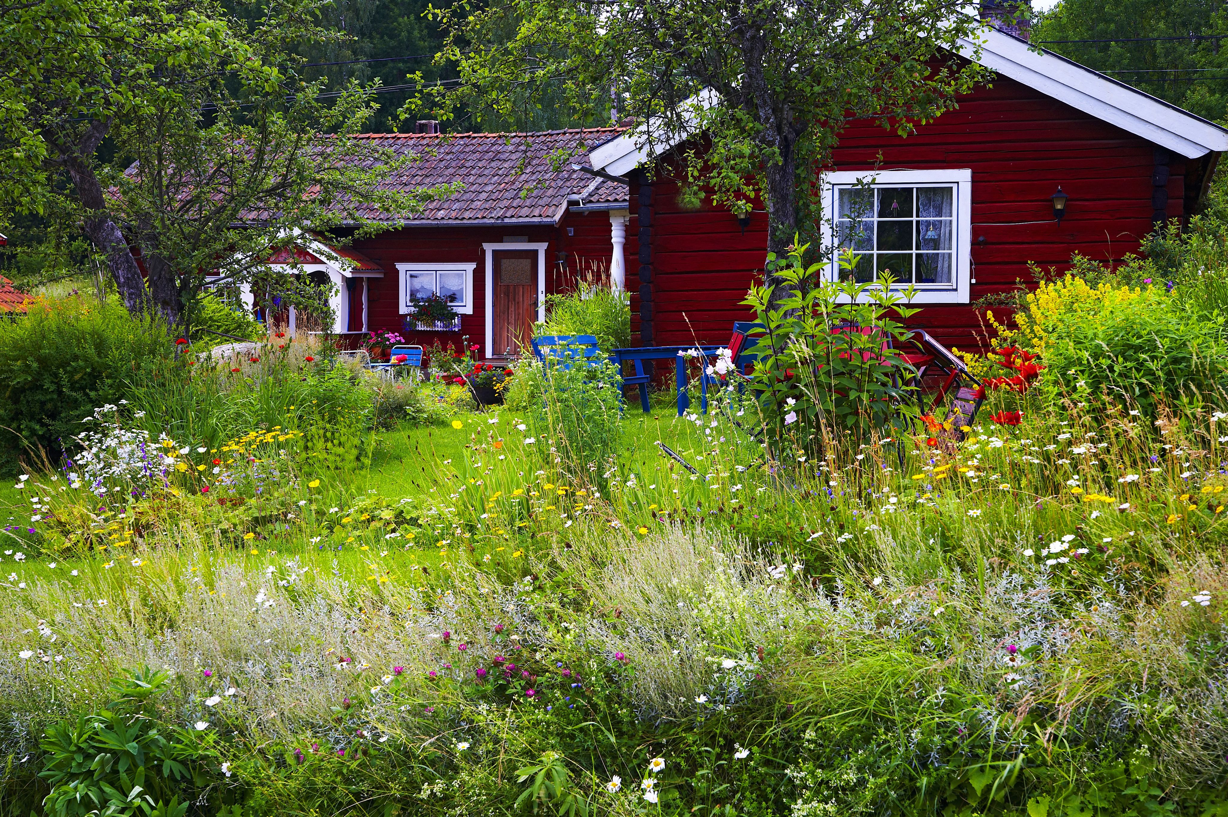 A red house can be seen in the background. In the foreground is a somewhat messy array of various flowers, shrubs and trees. 