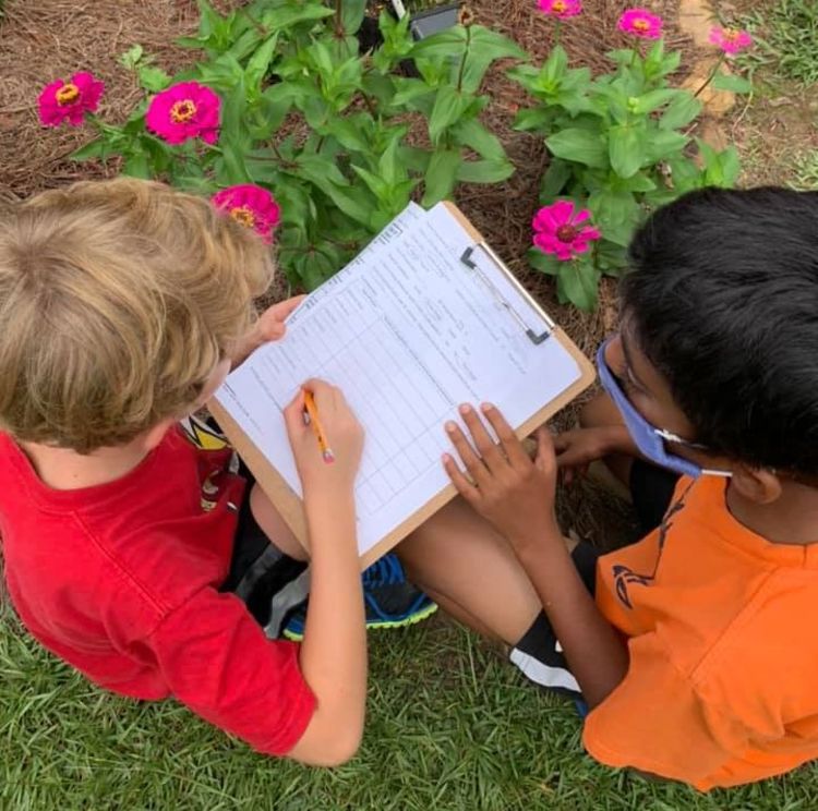 Two children are crouched down around pink zinnia flowers. They are looking at a clipboard and filling out a survey. 