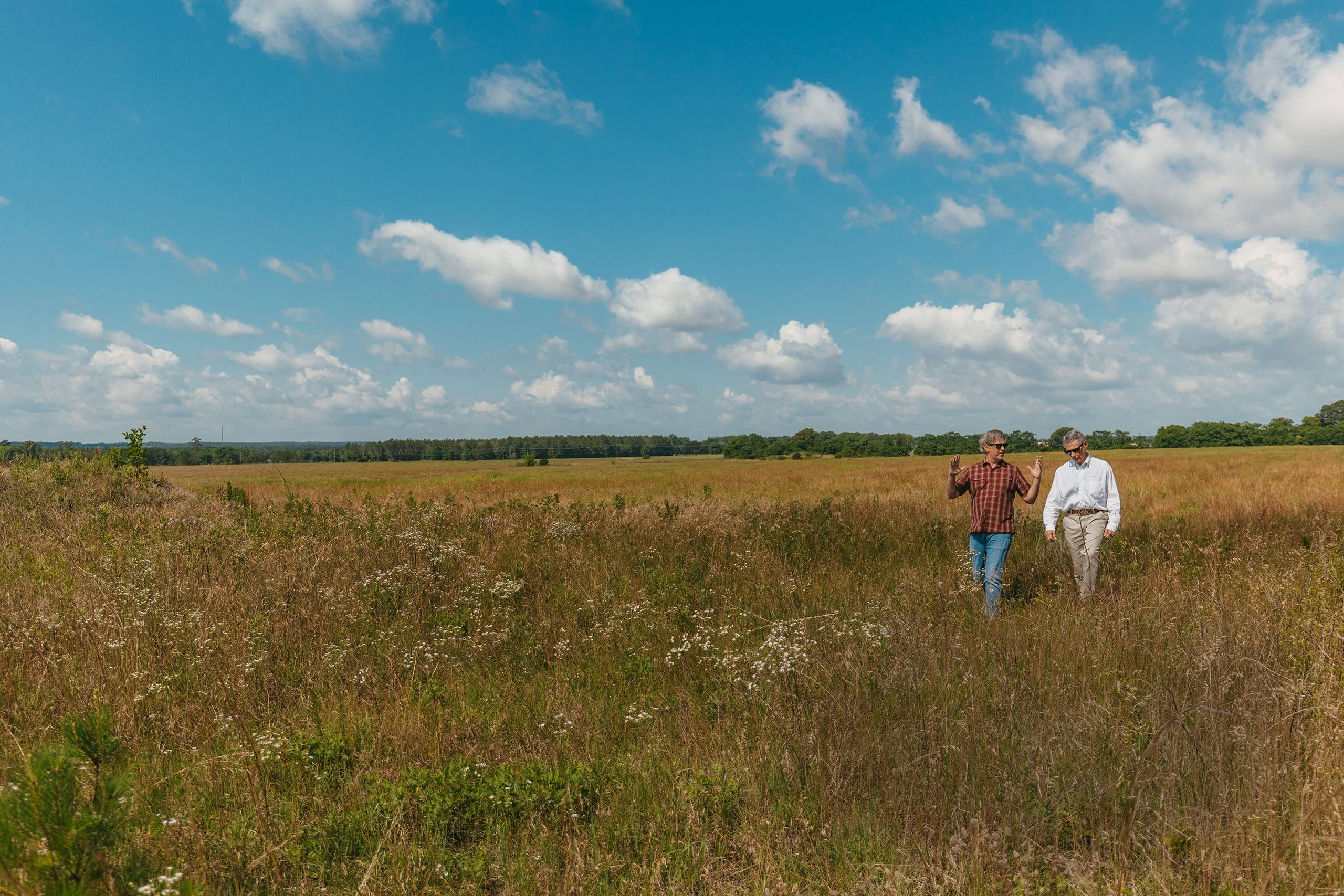 Two men walk through a field of tall, dry grass under a bright blue sky, engaged in conversation with trees visible in the distance.