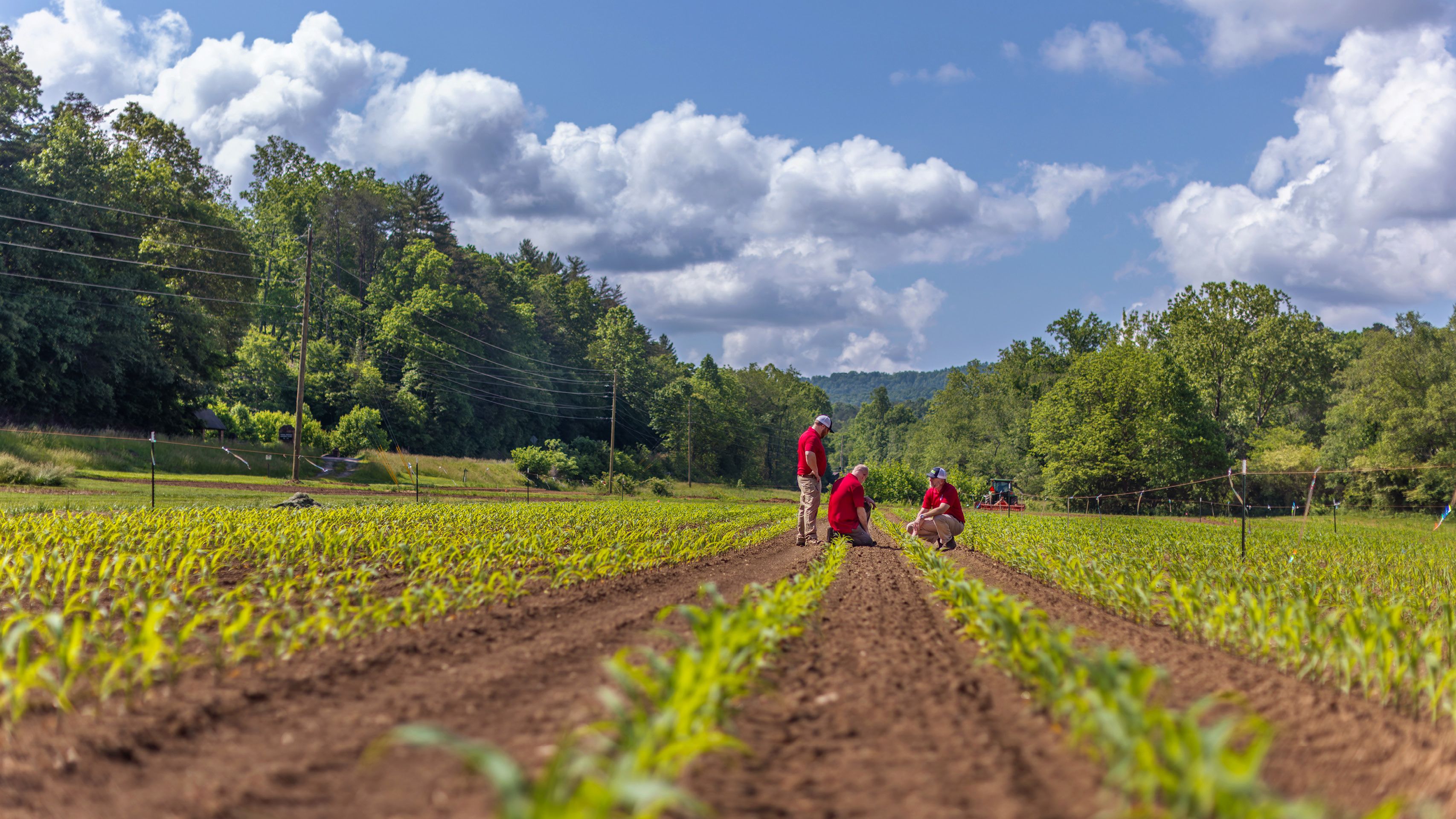 Three individuals wearing red shirts and hats inspecting to a field of young corn plants arranged in neat rows, with some areas still bare soil. A tractor works further back, and power lines run on the left side of the field. The field is surrounded by green trees and hills under a partly cloudy sky.