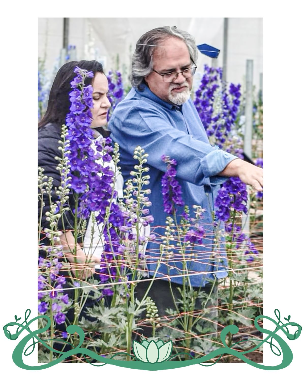 A man and a woman examine tall purple flowers in a greenhouse or garden setting.