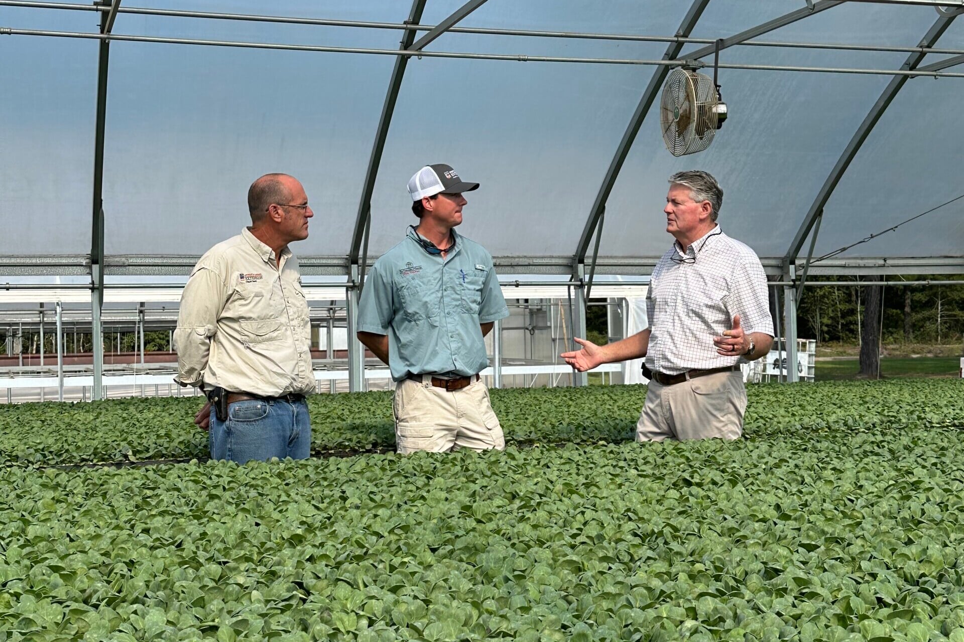 Three men stand in a greenhouse on a sunny day with green plants growing in the foreground.