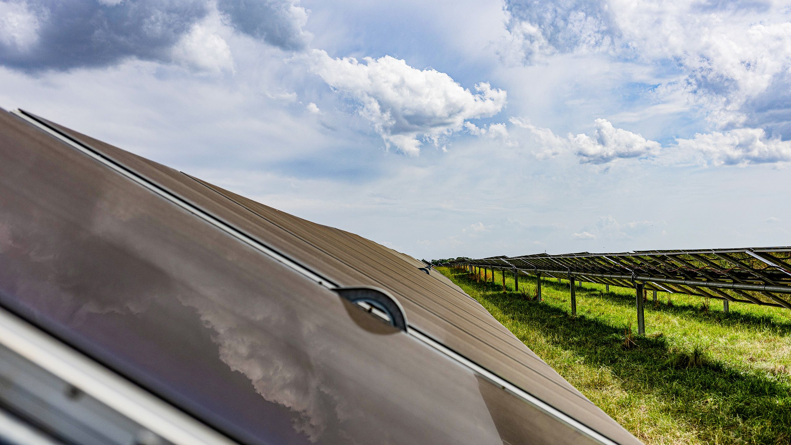 Rows of solar panels in a field. 