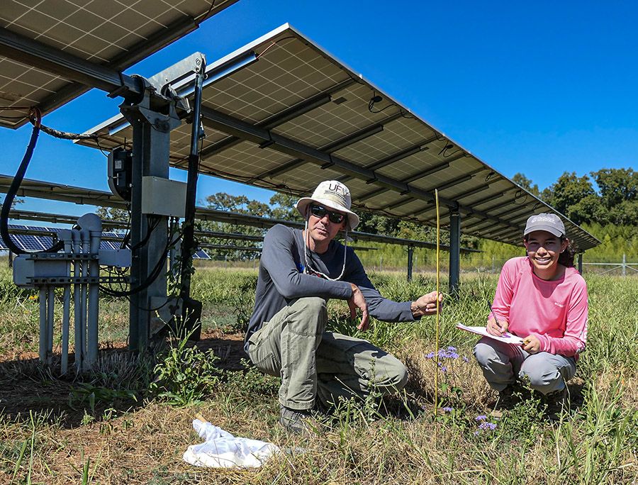 Two individuals working beneath a solar panel installation in a grassy outdoor area; one squats and points at the ground while the other kneels and writes on a notepad, with more solar panels and trees in the background.