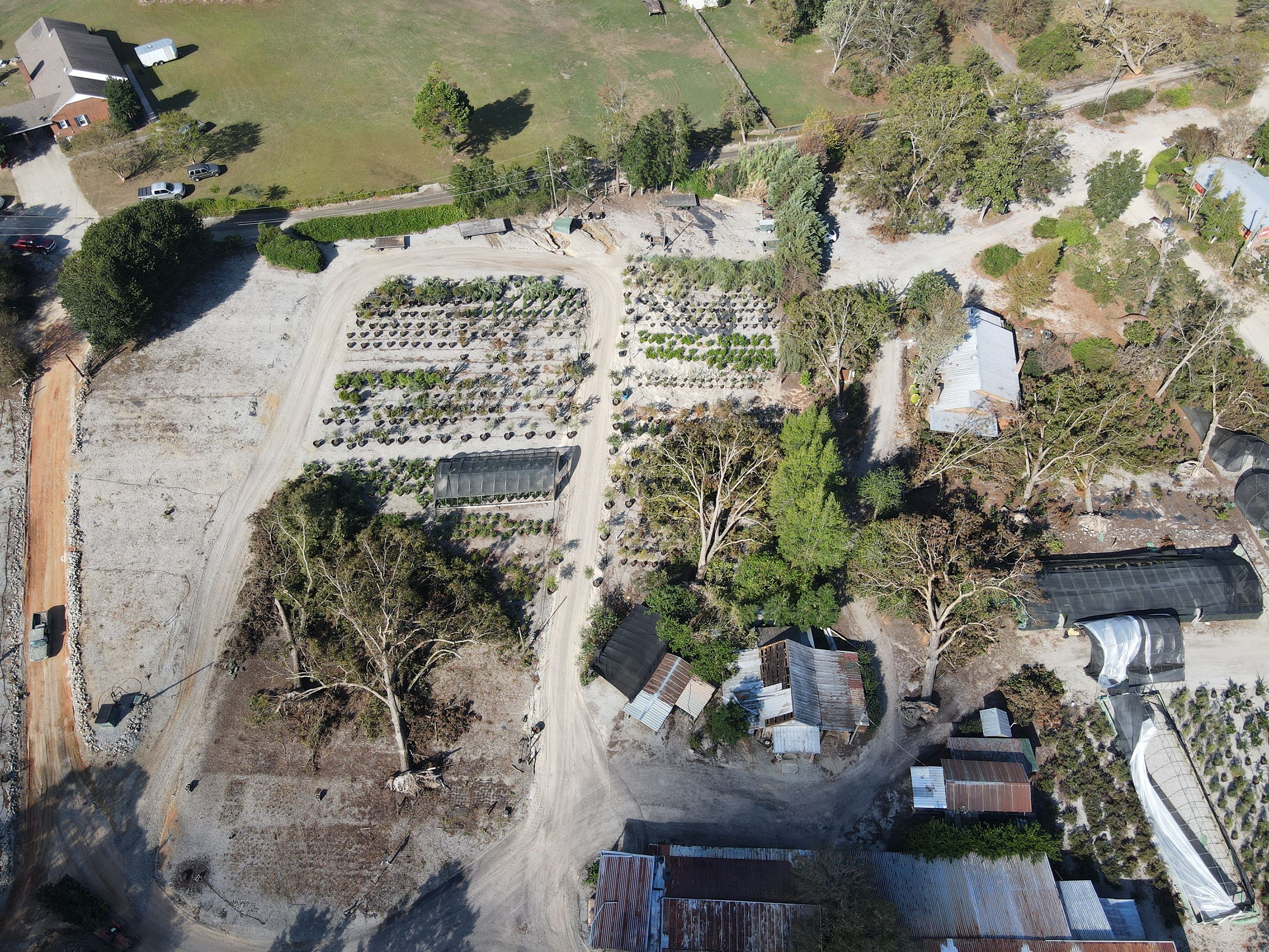Aerial view of a farm after hurricane damage, showing uprooted trees, scattered debris, and disrupted vegetation.