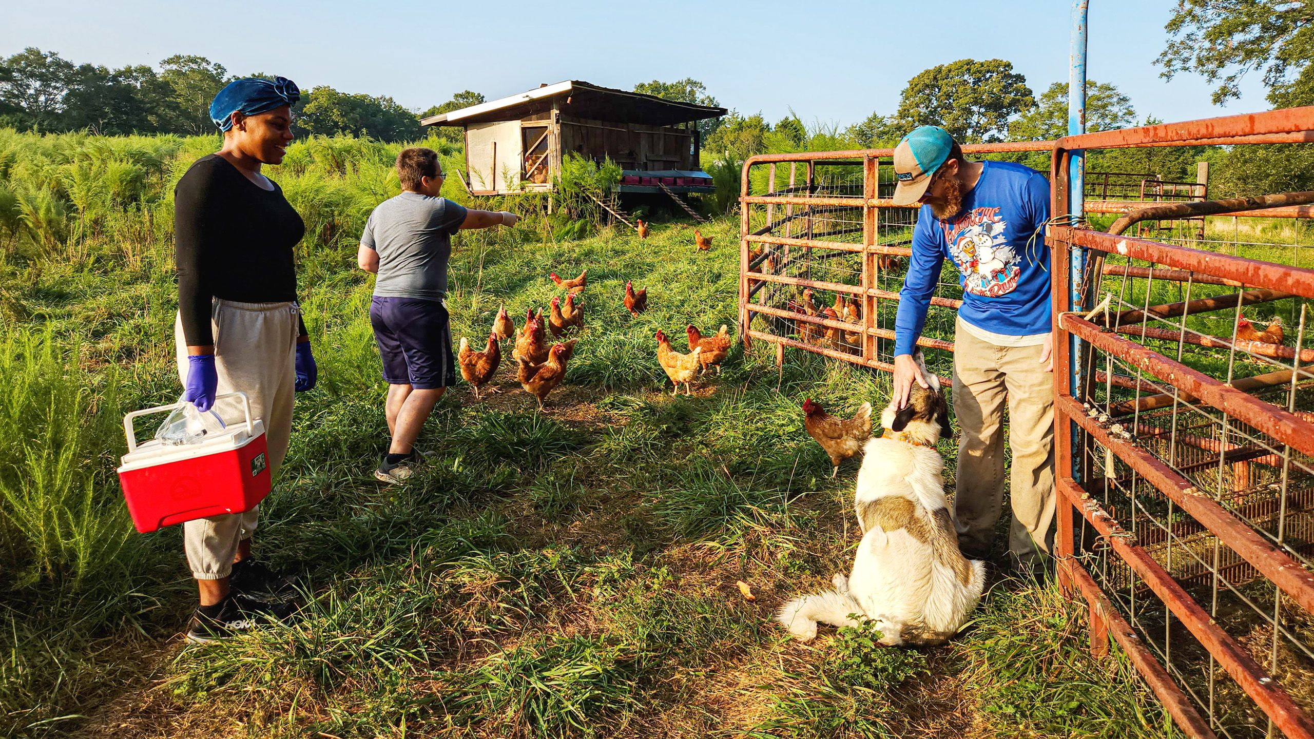 Two researchers and a farmer stand next to a gate, about to enter a field. The farmer is petting a large dog while chickens mill about.