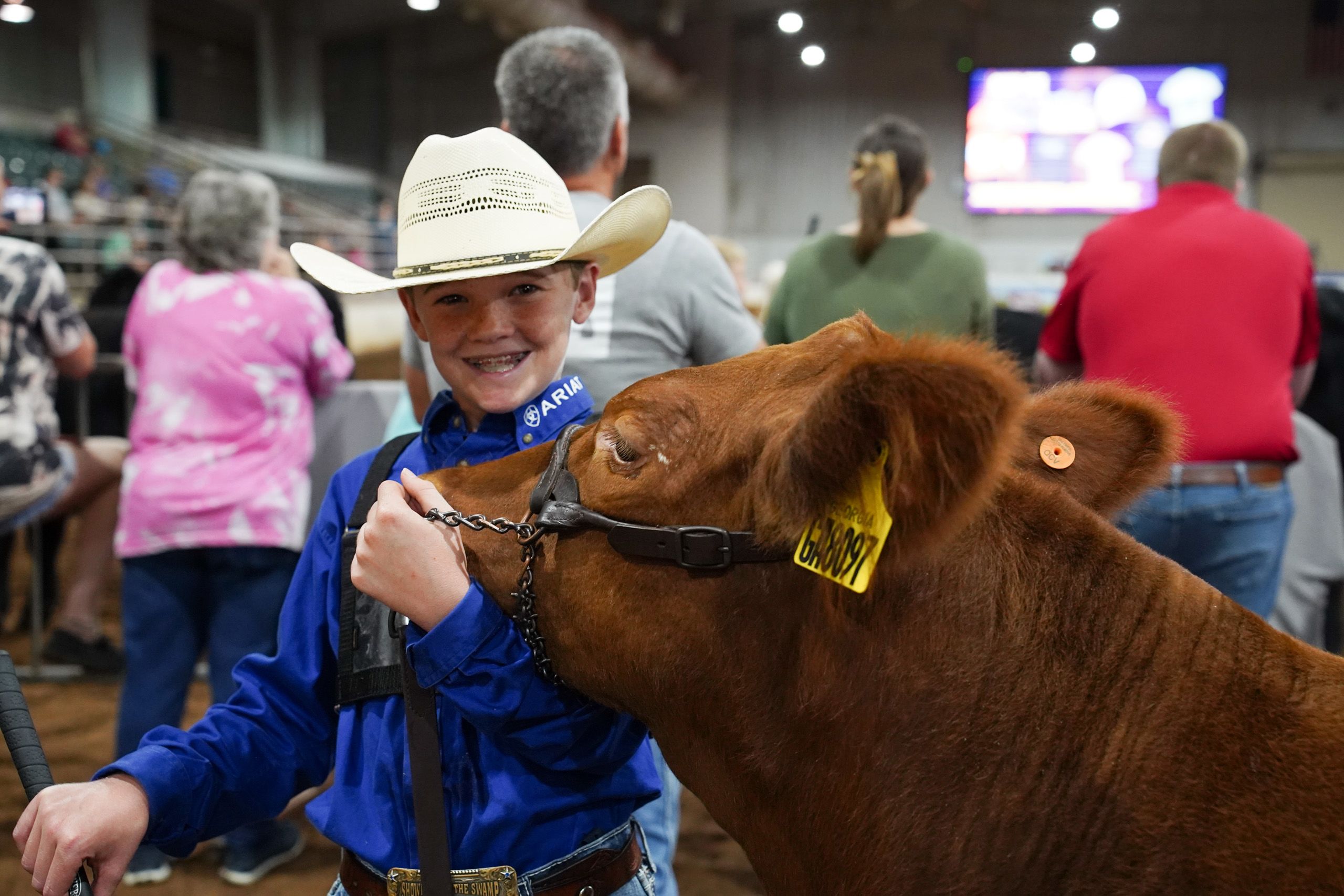 A 4-H'er in a white cowboy hat and blue button up shirt grins at the camera while holding the halter of a brown cow. 