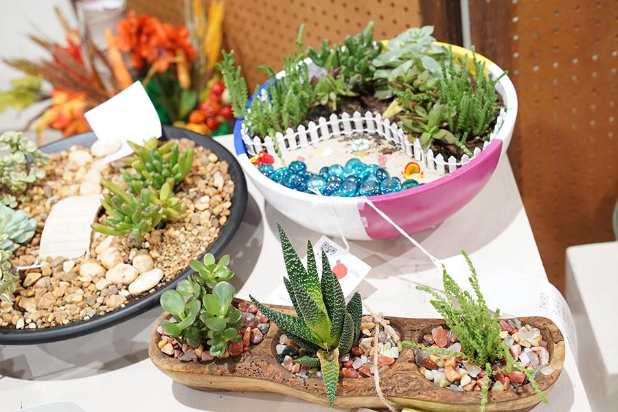 Terrariums on display at the Georgia National Fair. 