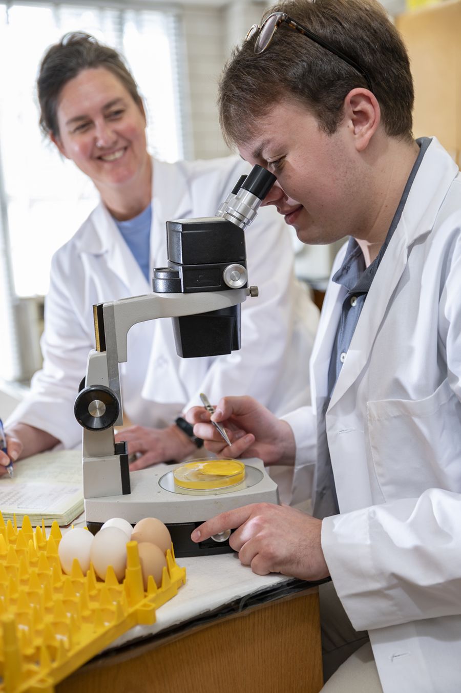Assistant Professor Laura Ellestad smiles at a student looking at an egg in a petri dish under a microscope.