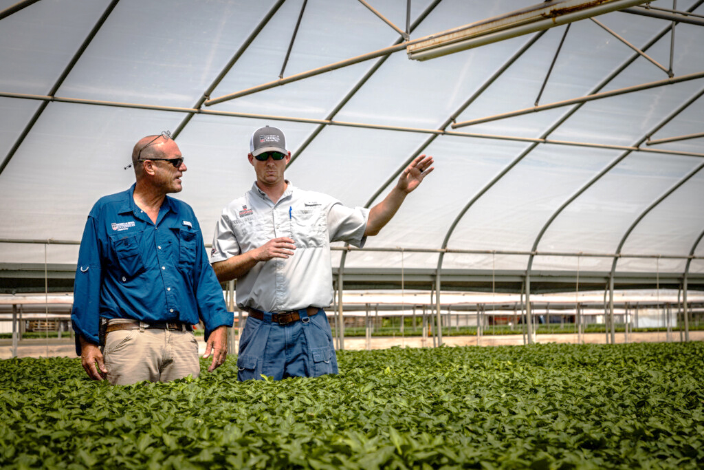 UGA Extension agents Jeremy Kichler and Ty Torrance stand in a greenhouse, discussing rows of leafy vegetable plants.