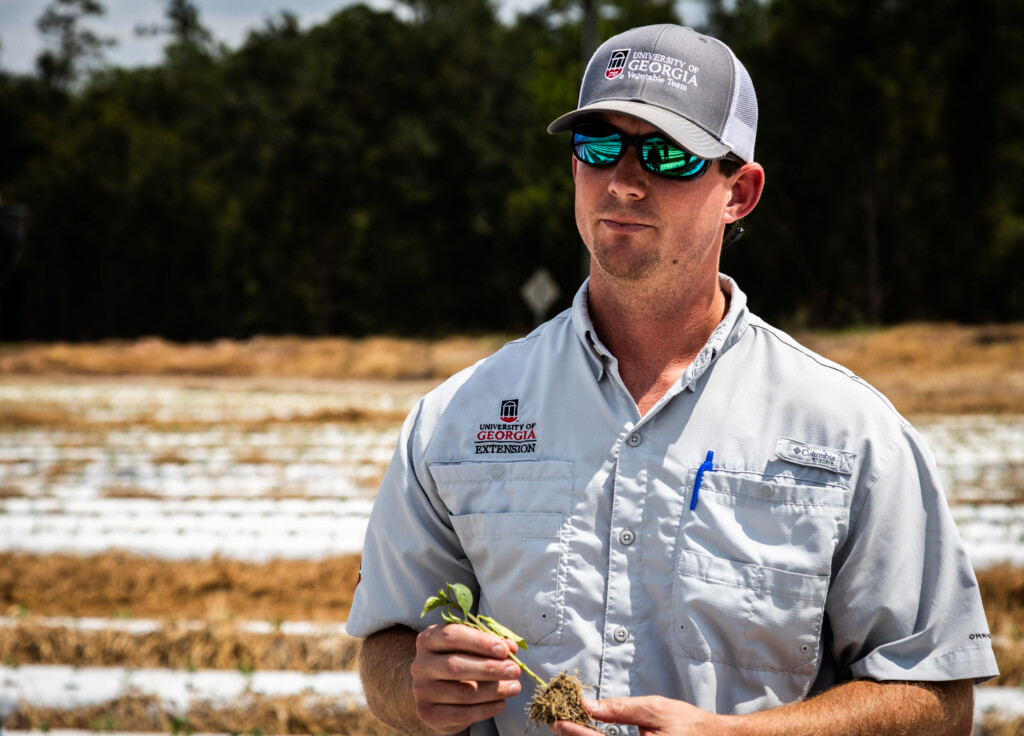 Ty Torrance wears a hat and sunglasses as he stands in a field while holding a young plant.