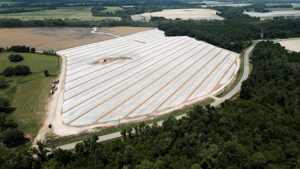 Aerial view of a farm shows a large expanse of land in rows that are covered in white plastic. Trees and country roads border the farm. 