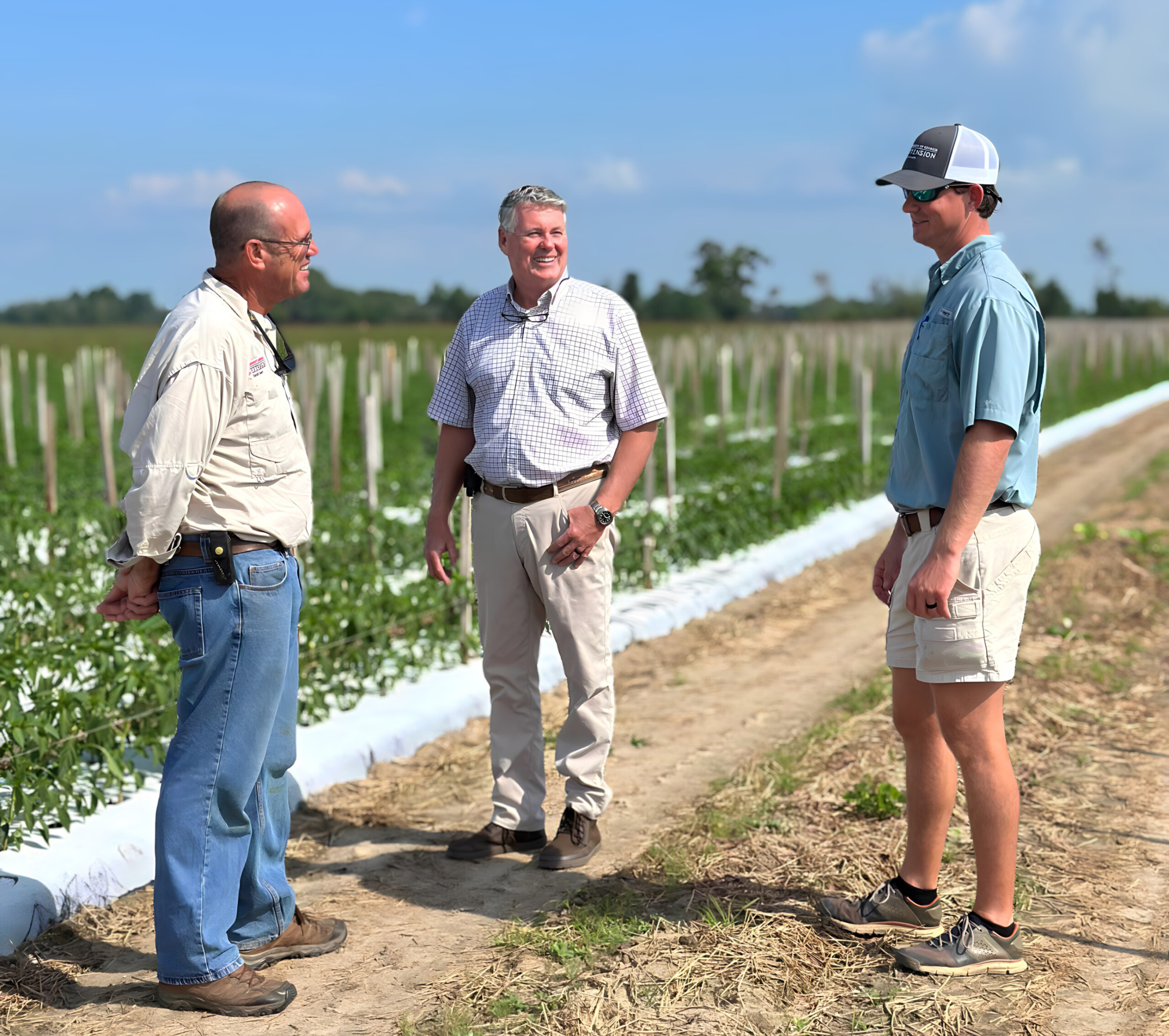 Three men stand in a field with rows of young plants growing behind where they're standing and talking.
