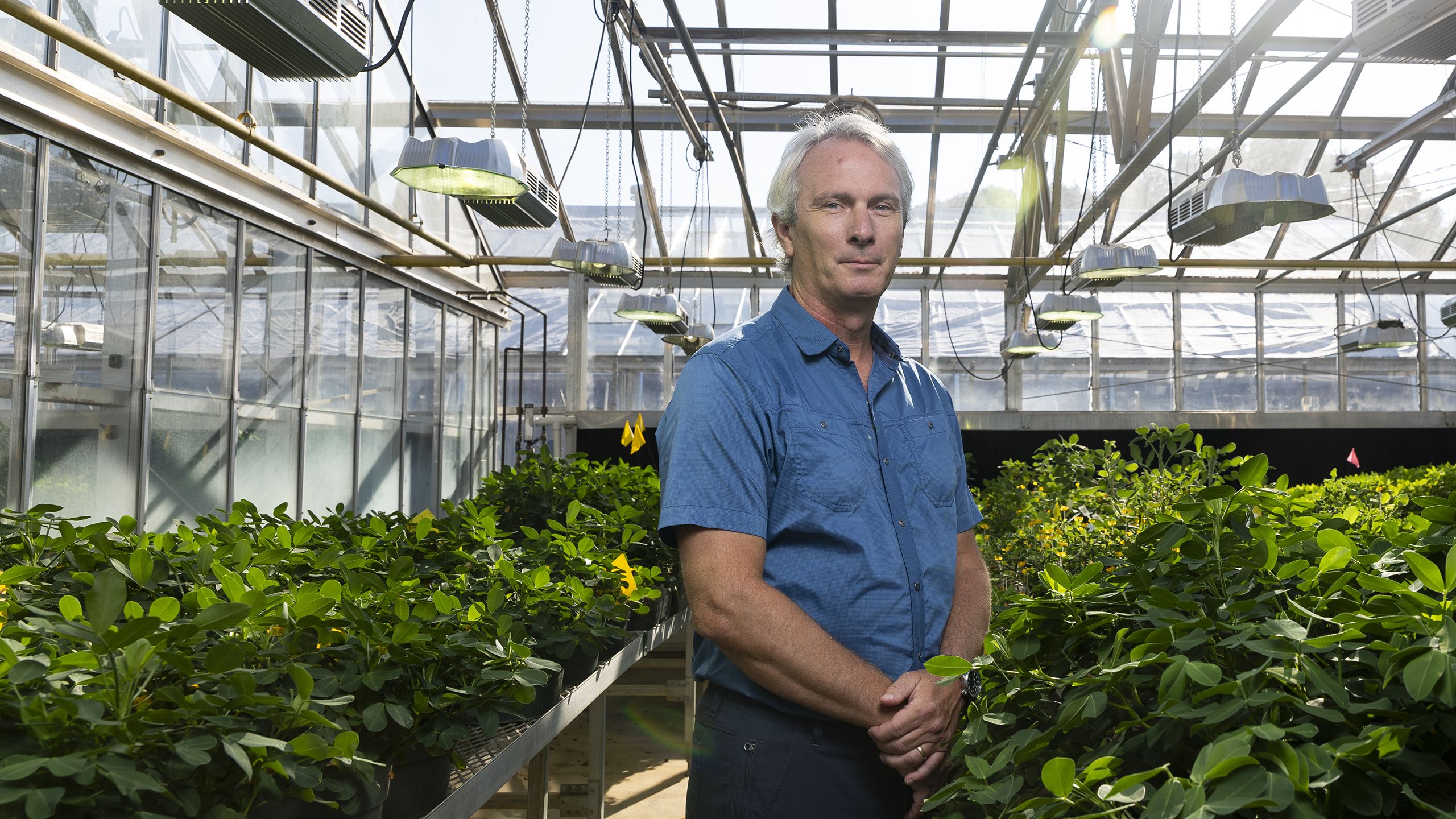 Man in a blue shirt stands in a greenhouse surrounded by green plants and hanging grow lights.