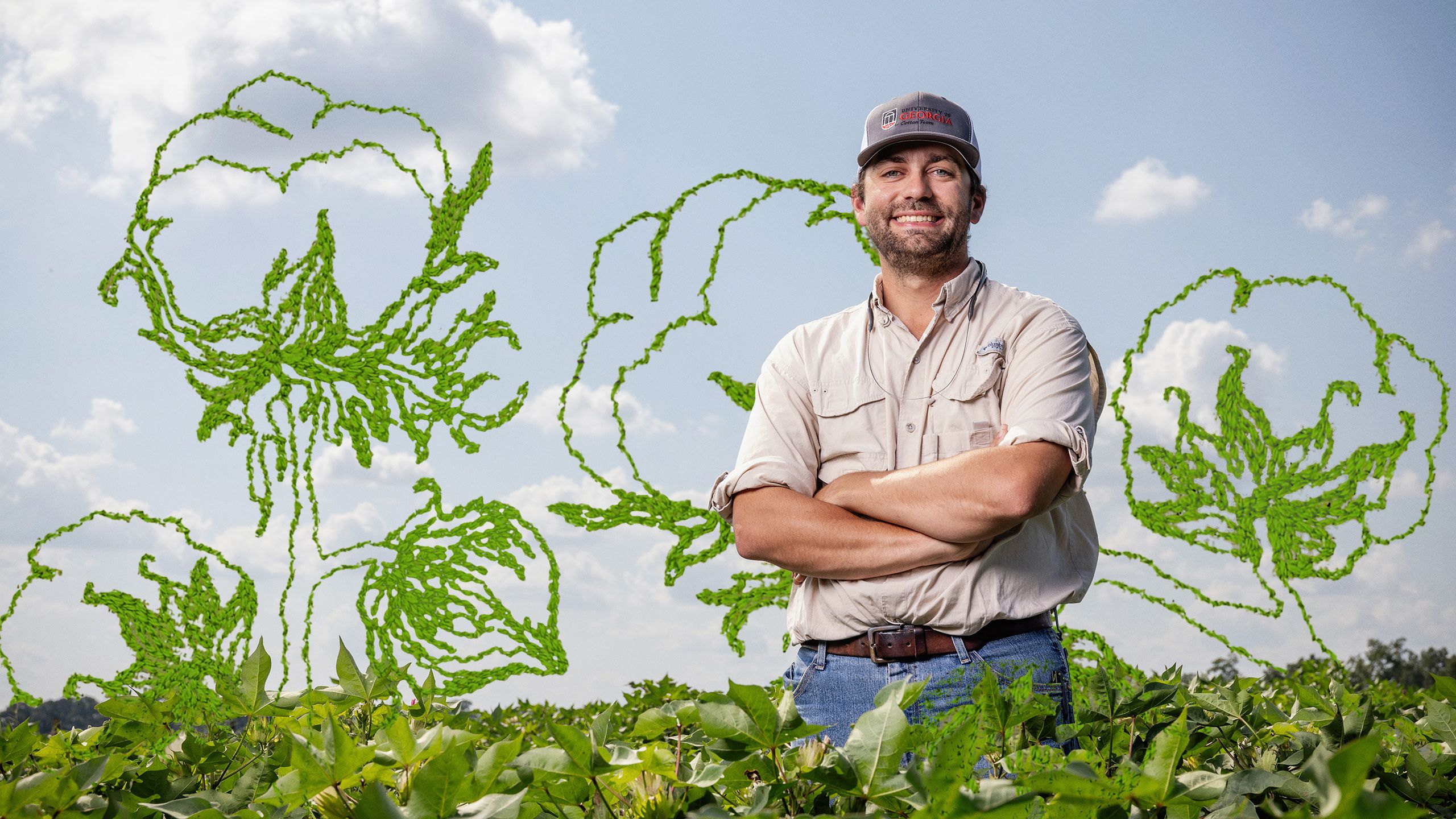 Cotton agronomist Camp Hand stands in a field with arms crossed, surrounded by green cotton plants and stylized leaf outlines against a blue sky.