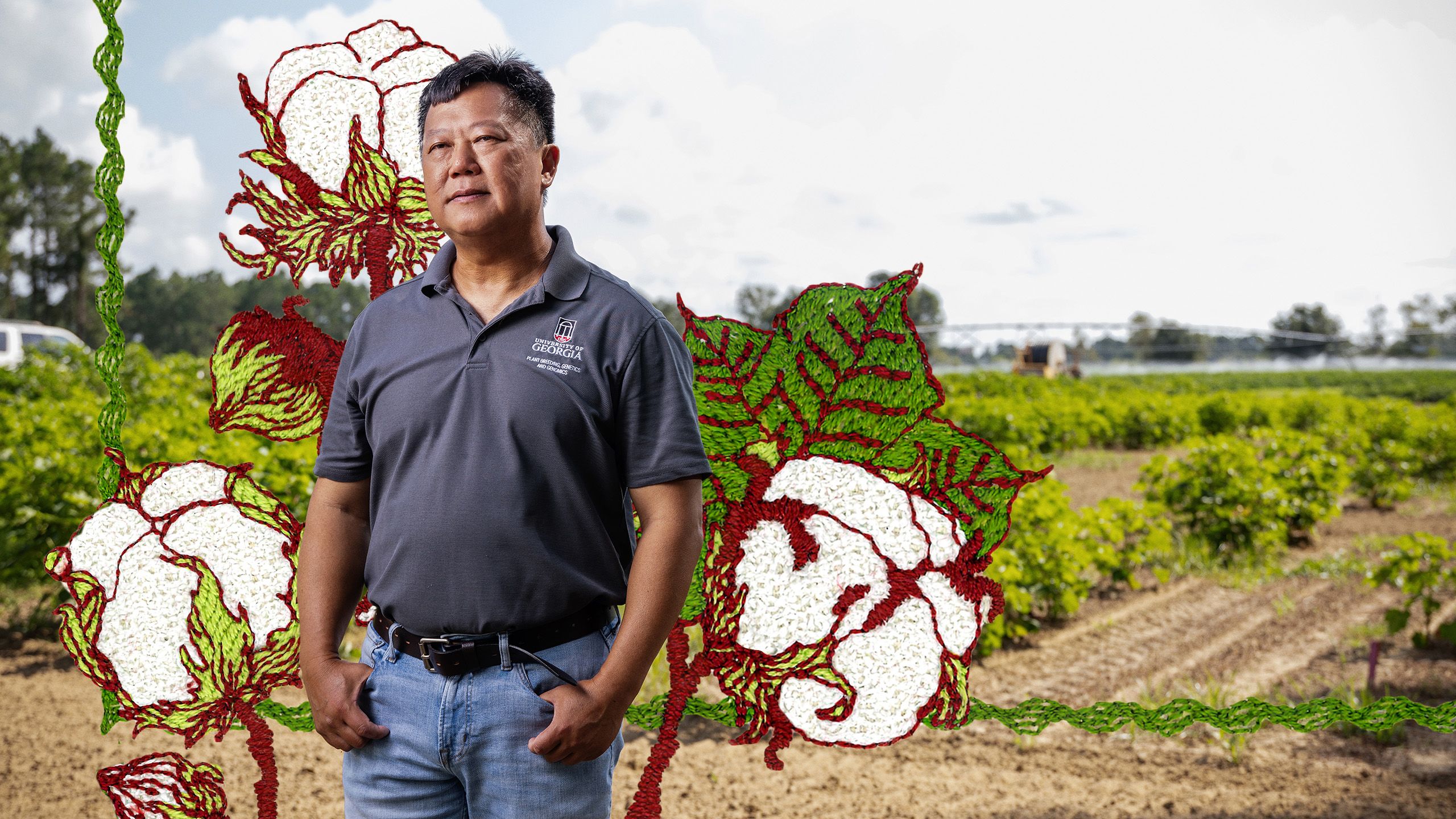 Man in a dark polo shirt stands in a cotton field with embroidered cotton boll illustrations overlaid on the image.