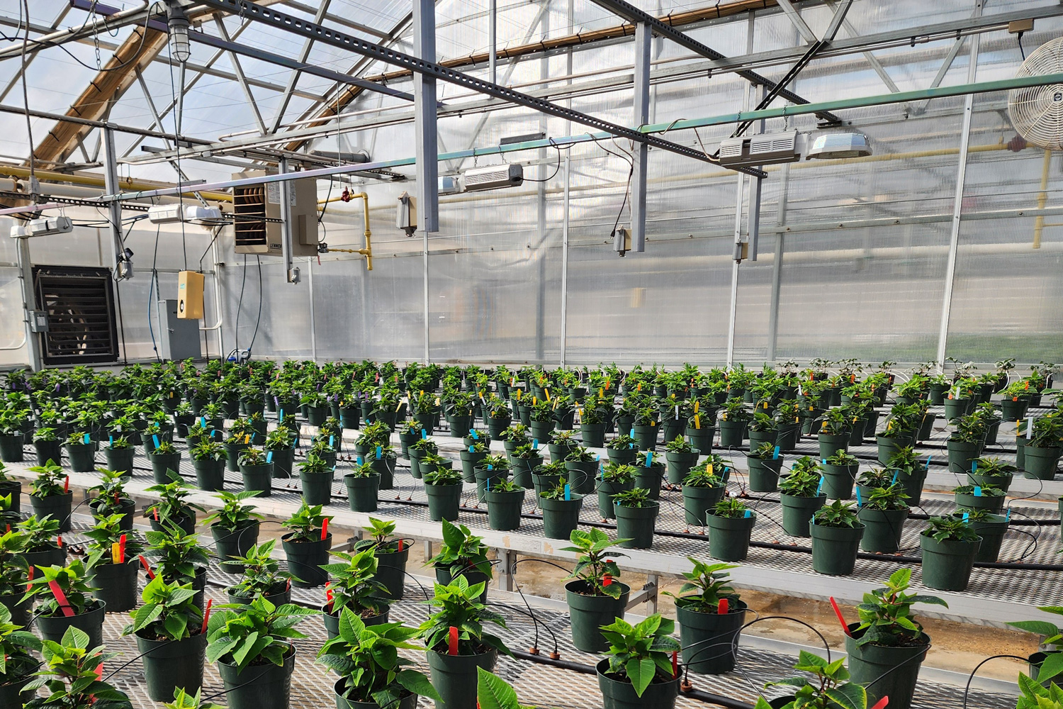 greenhouse with plants and heating, cooling, and ventilation equipment