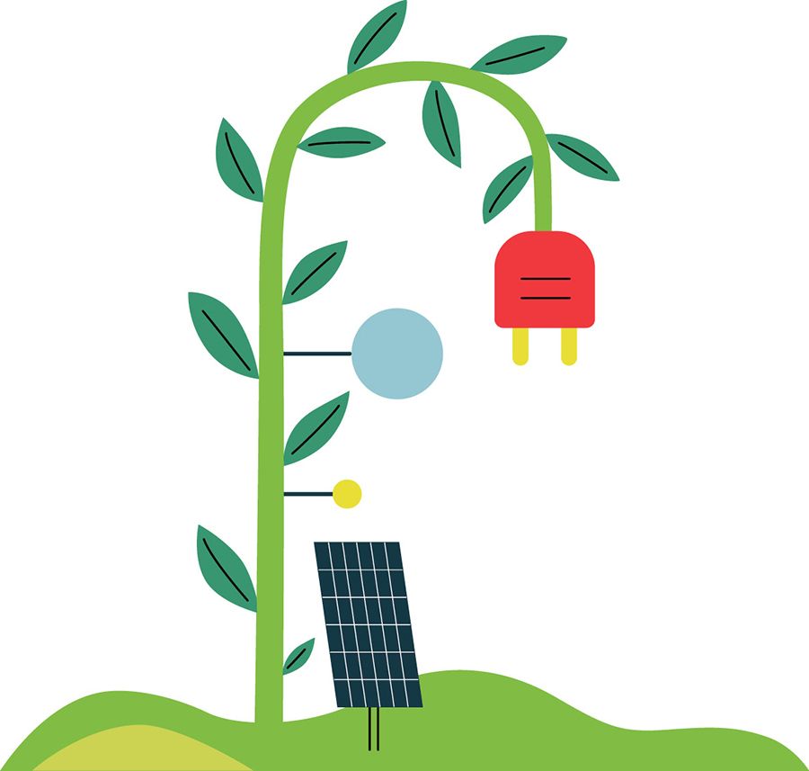 Illustration of a plant with a solar panel at its base, generating energy to power a plug at the top, symbolizing renewable energy.
