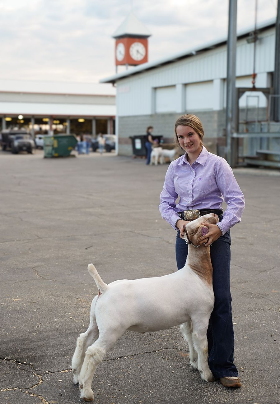 Girl in a purple shirt and jeans holding a goat by the head, standing in a livestock arena with a clock tower in the background.