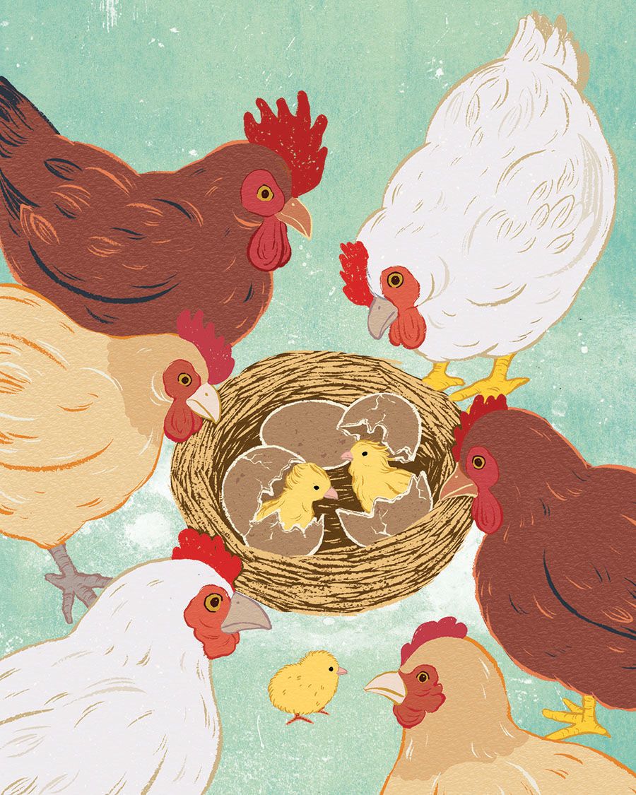 Illustration of hens gathered around a nest with two newly hatched chicks emerging from cracked eggs, on a soft teal background.