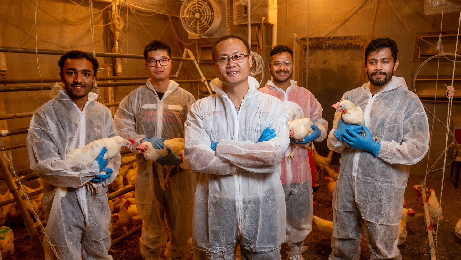 Five researchers in protective lab suits holding chickens inside a poultry research facility.