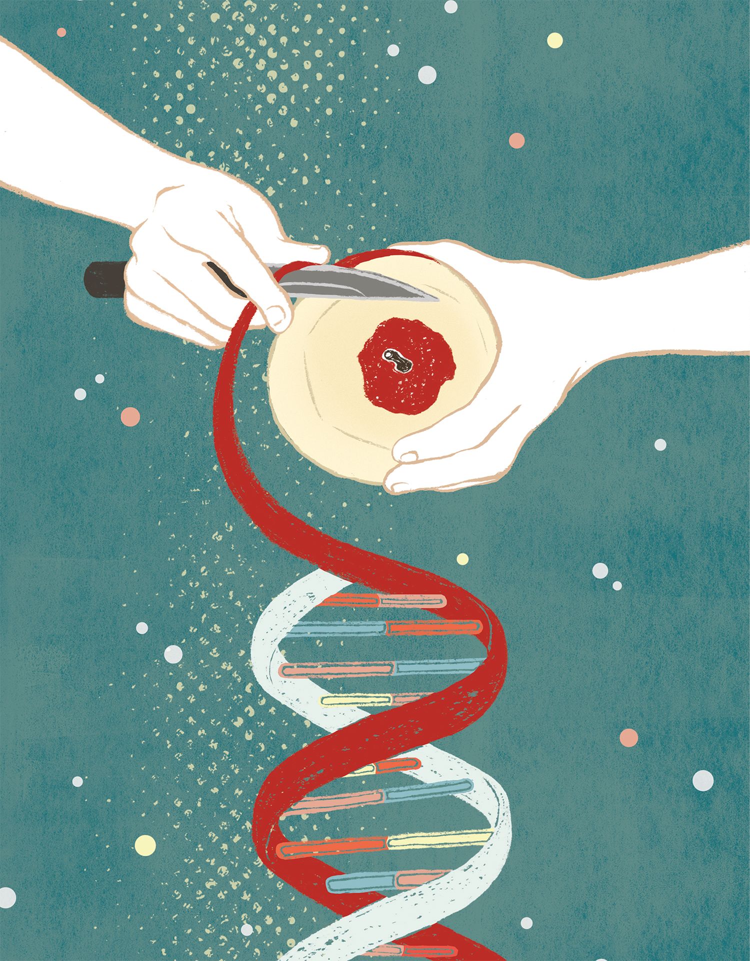 Illustration of hands slicing a red apple, with the cut surface forming a DNA double helix.